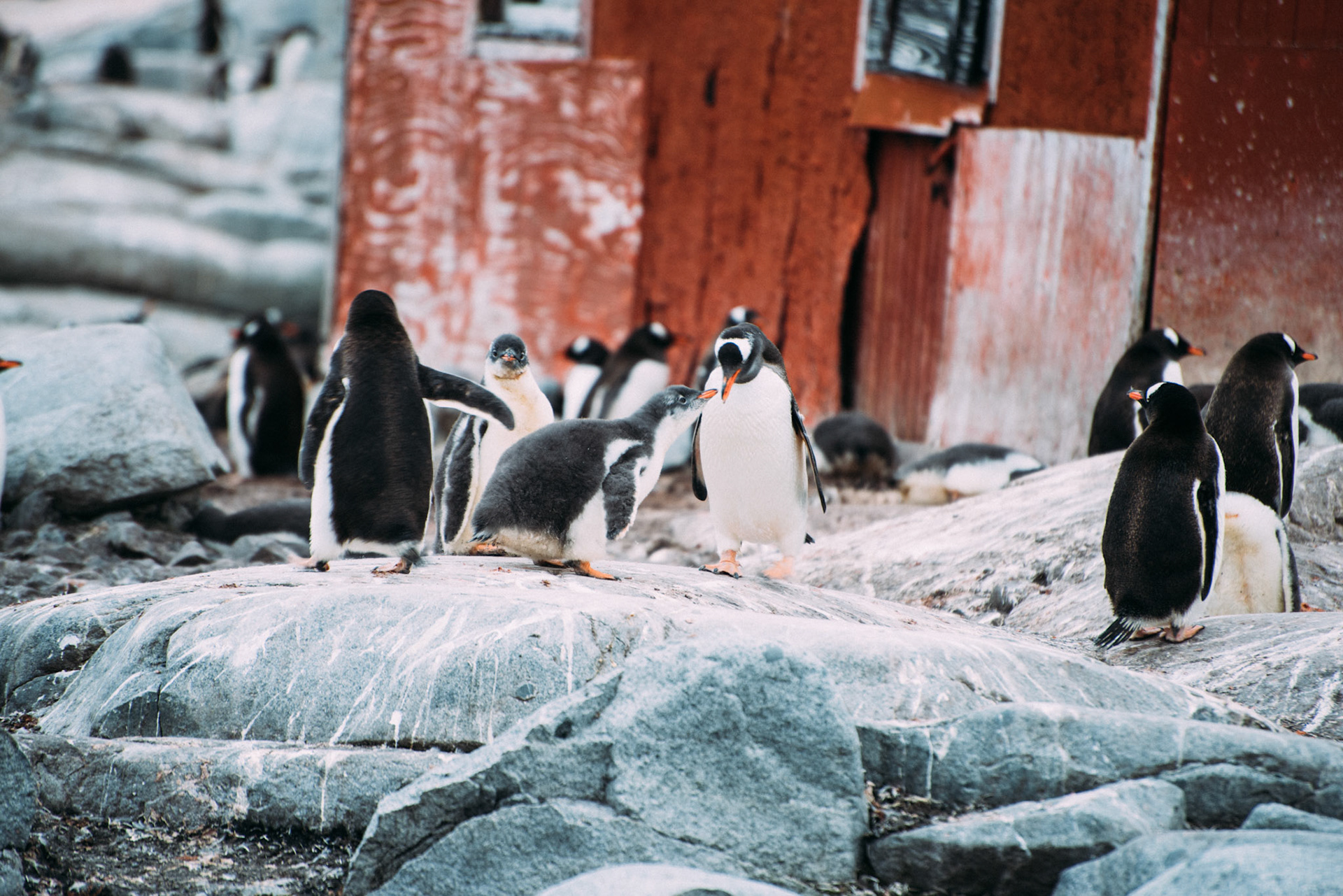 500px Photo ID: 201595073 -