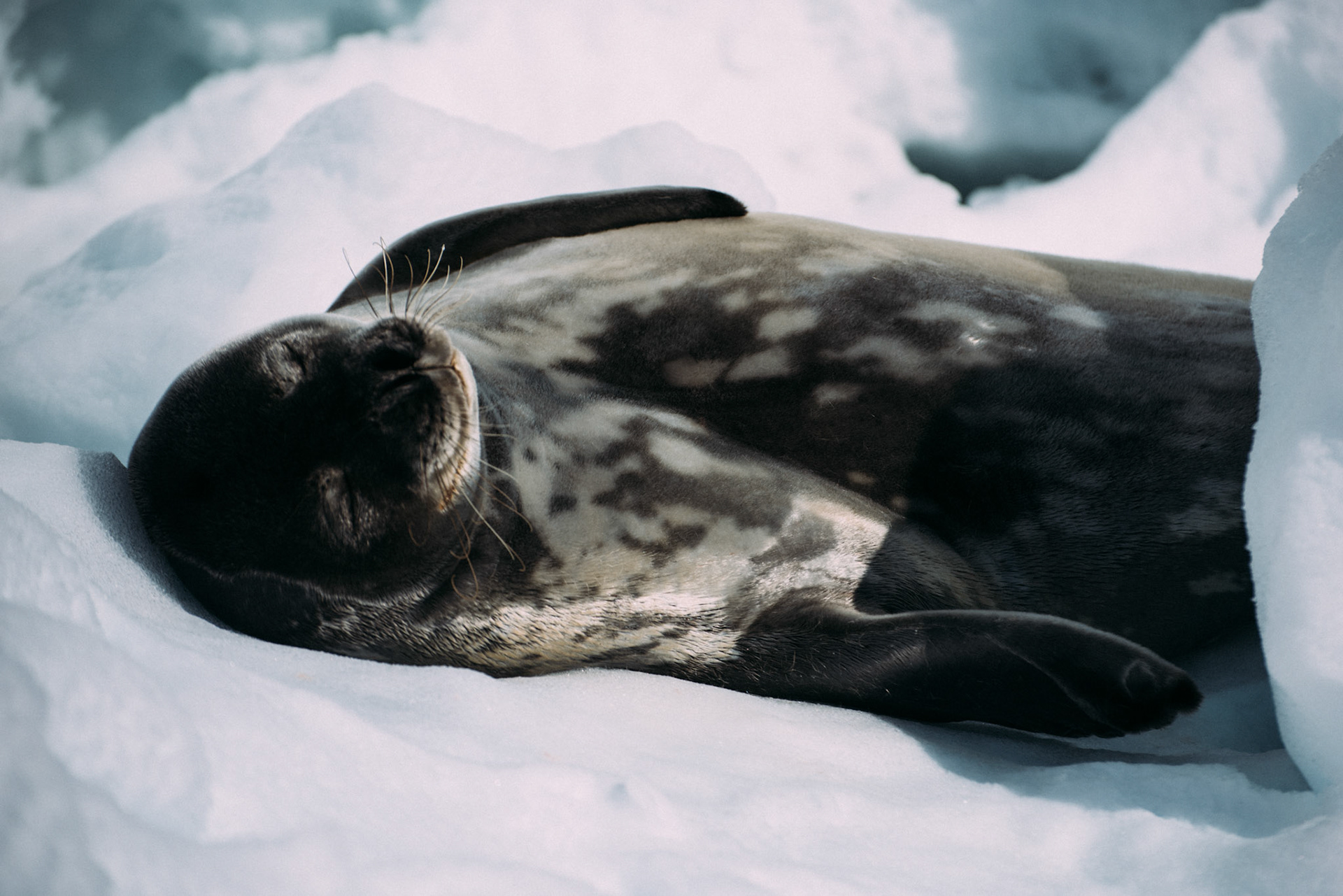 500px Photo ID: 201701721 -