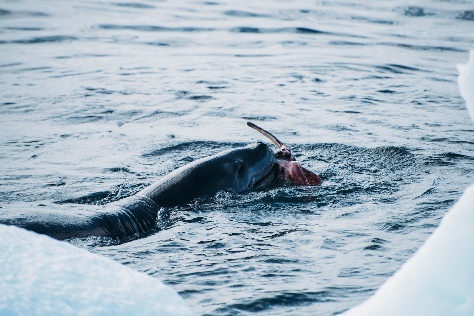 500px Photo ID: 201636461 -