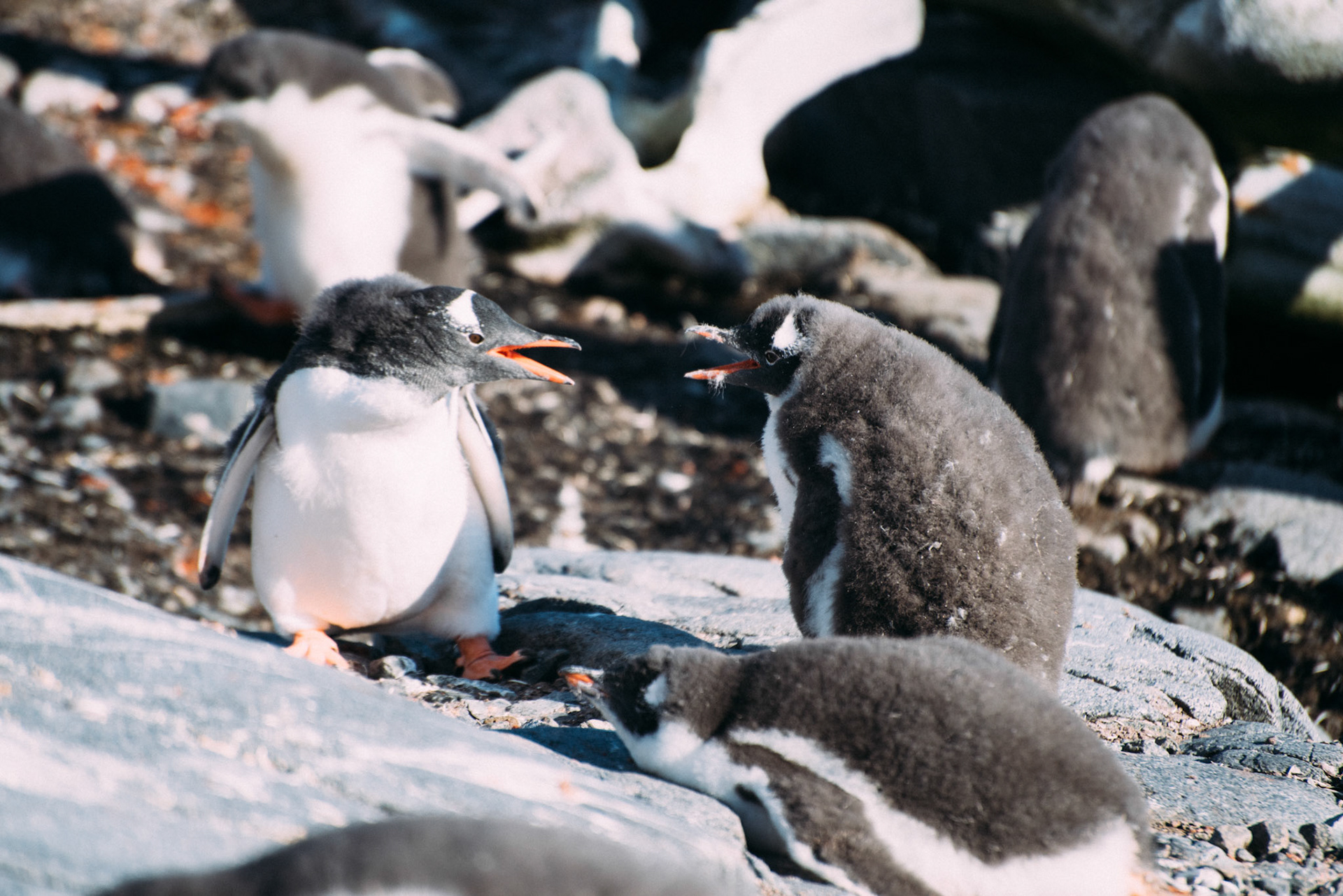 500px Photo ID: 201621075 -