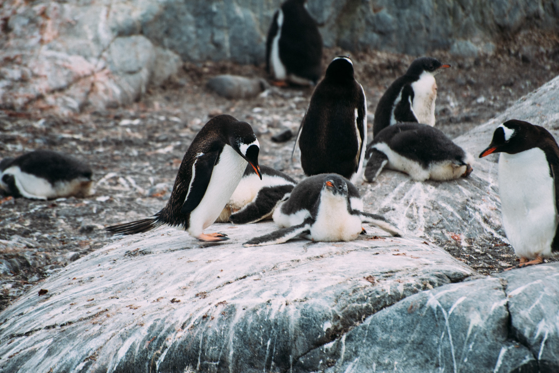 500px Photo ID: 201596827 -