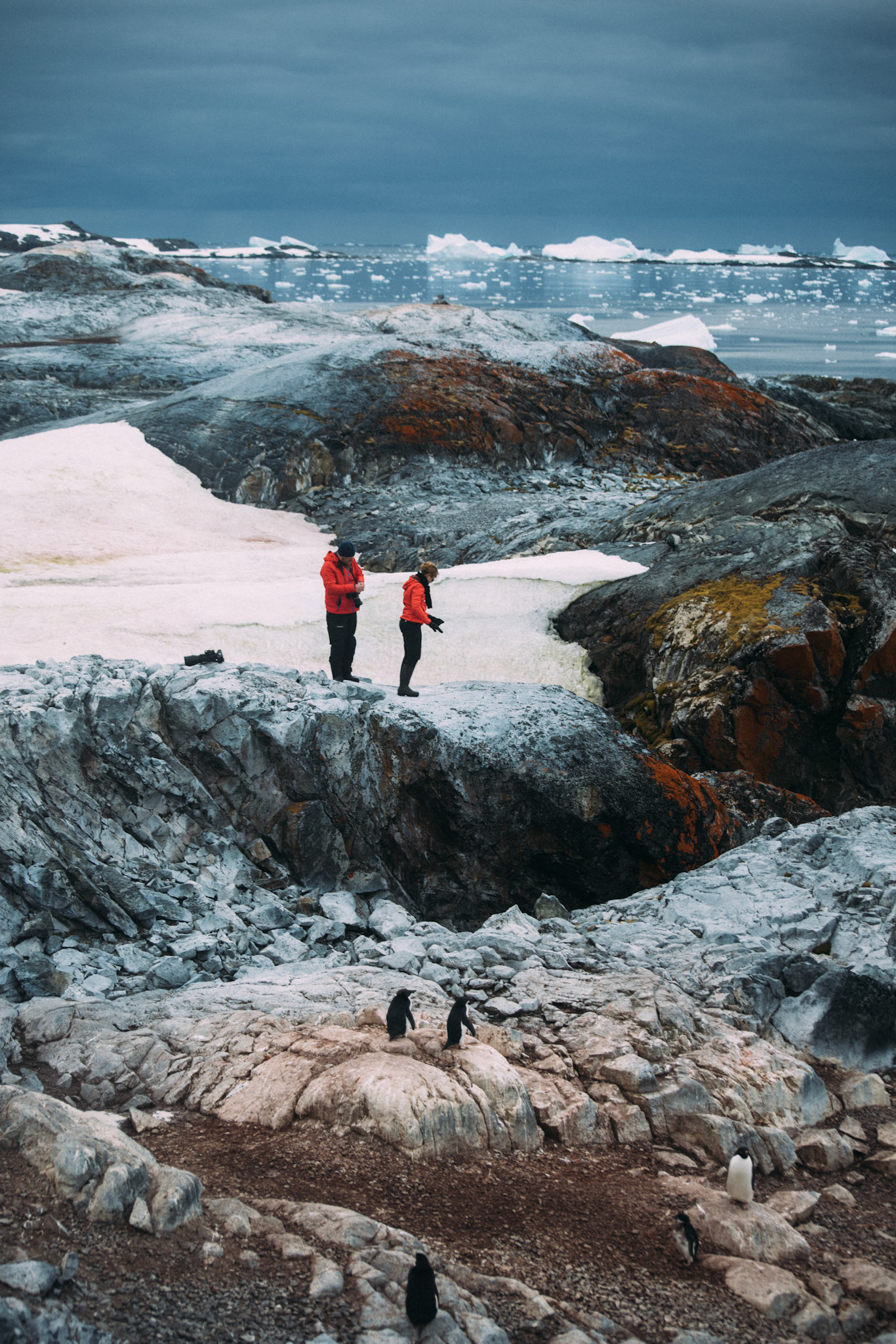 500px Photo ID: 201583997 -