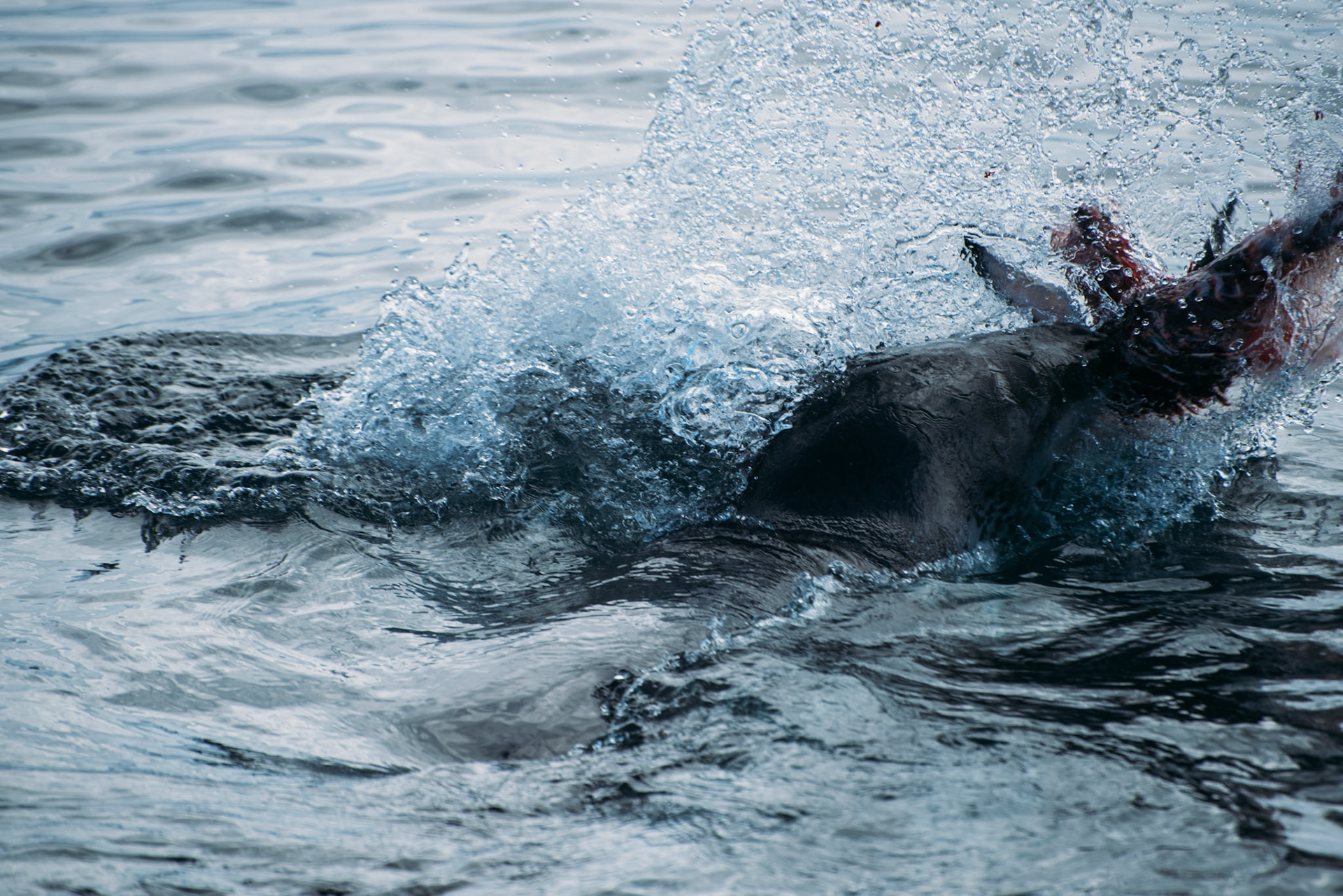 500px Photo ID: 201632271 -