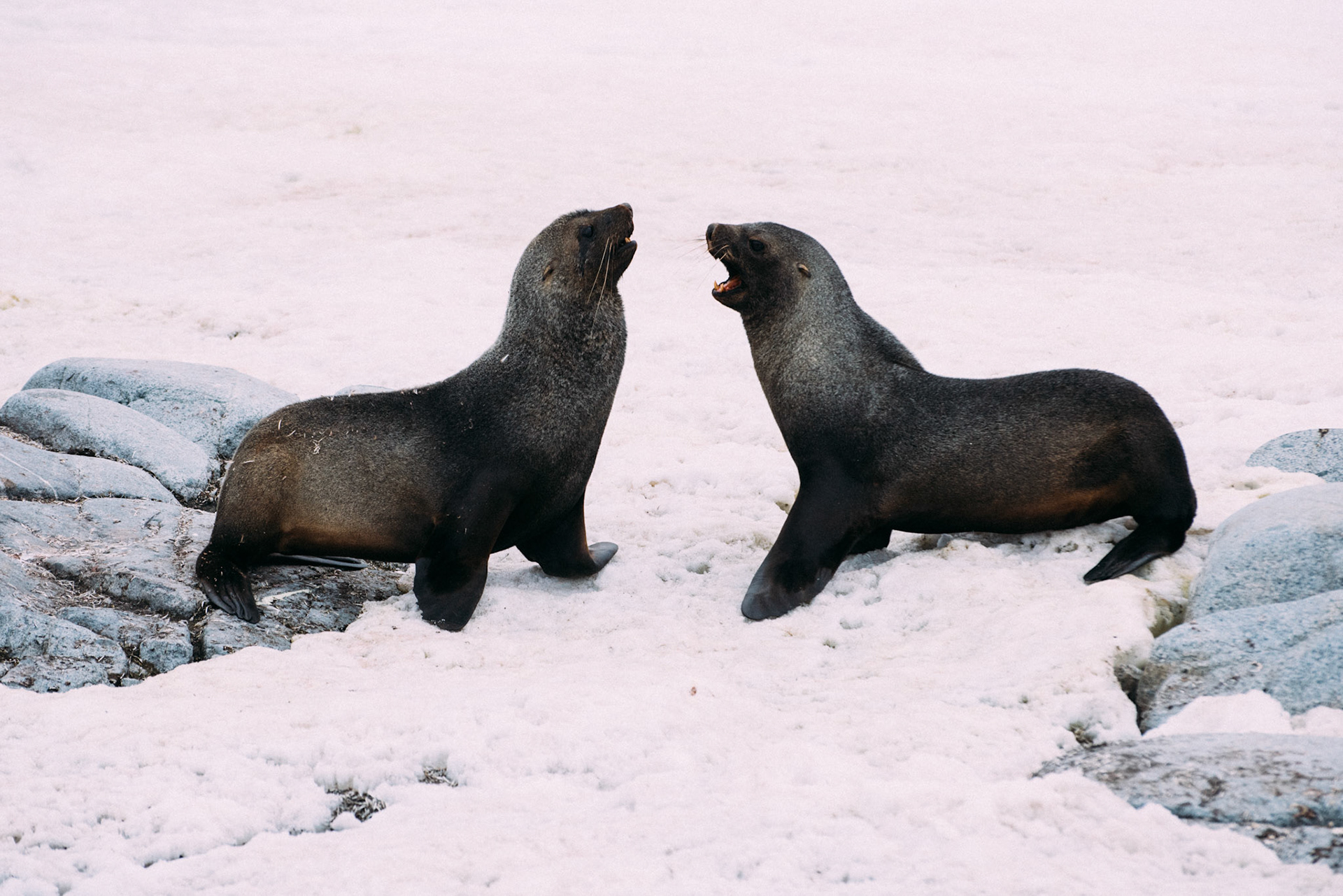 500px Photo ID: 201596097 -