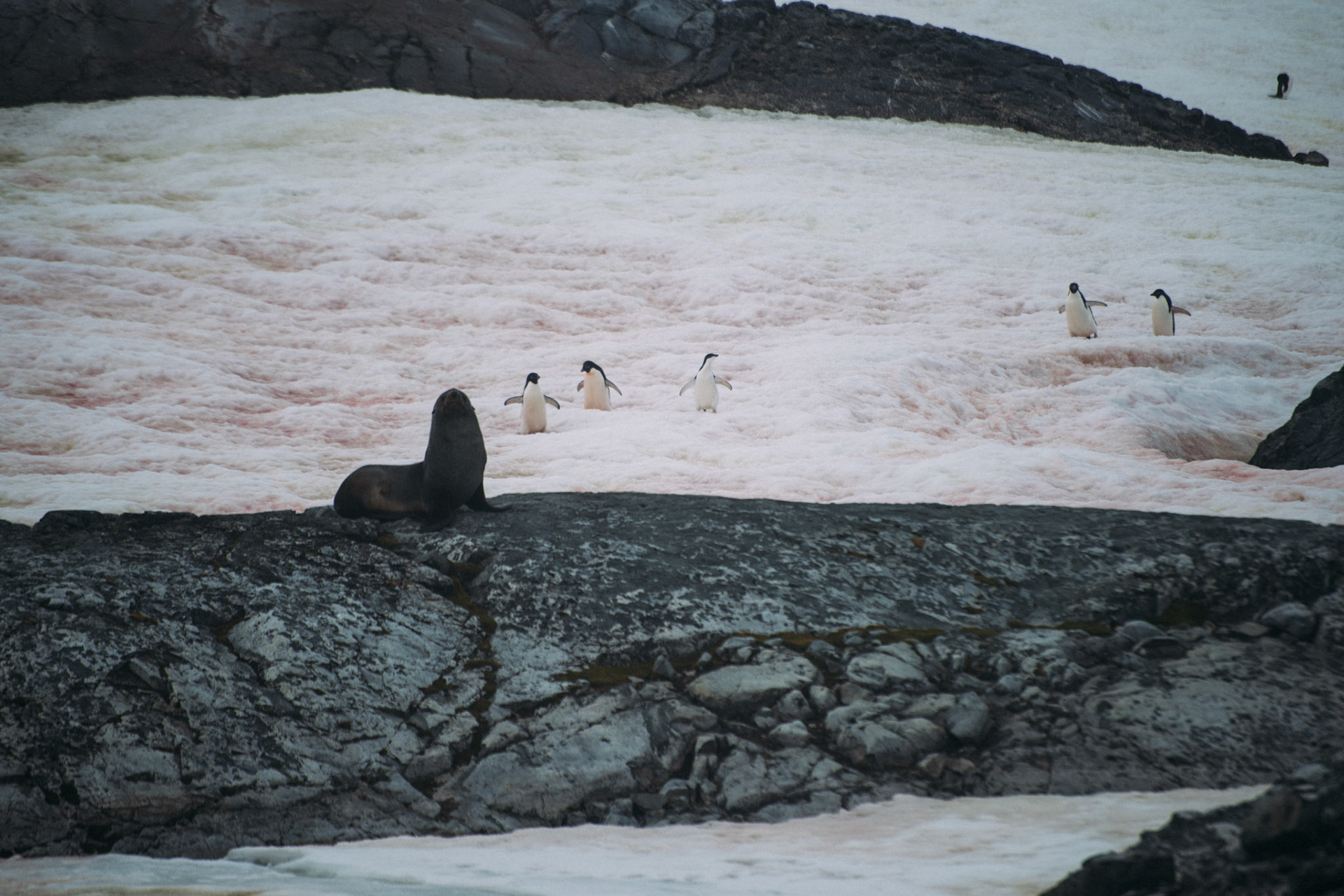 500px Photo ID: 201580067 -