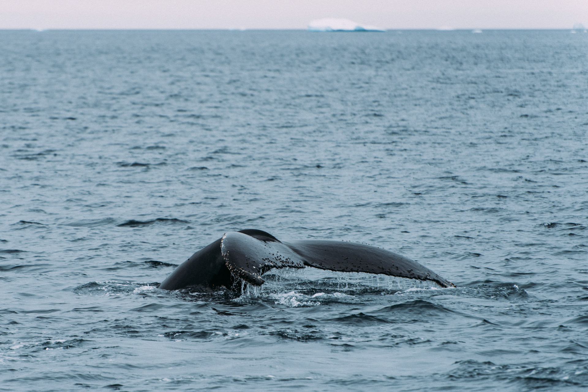 500px Photo ID: 201691381 -