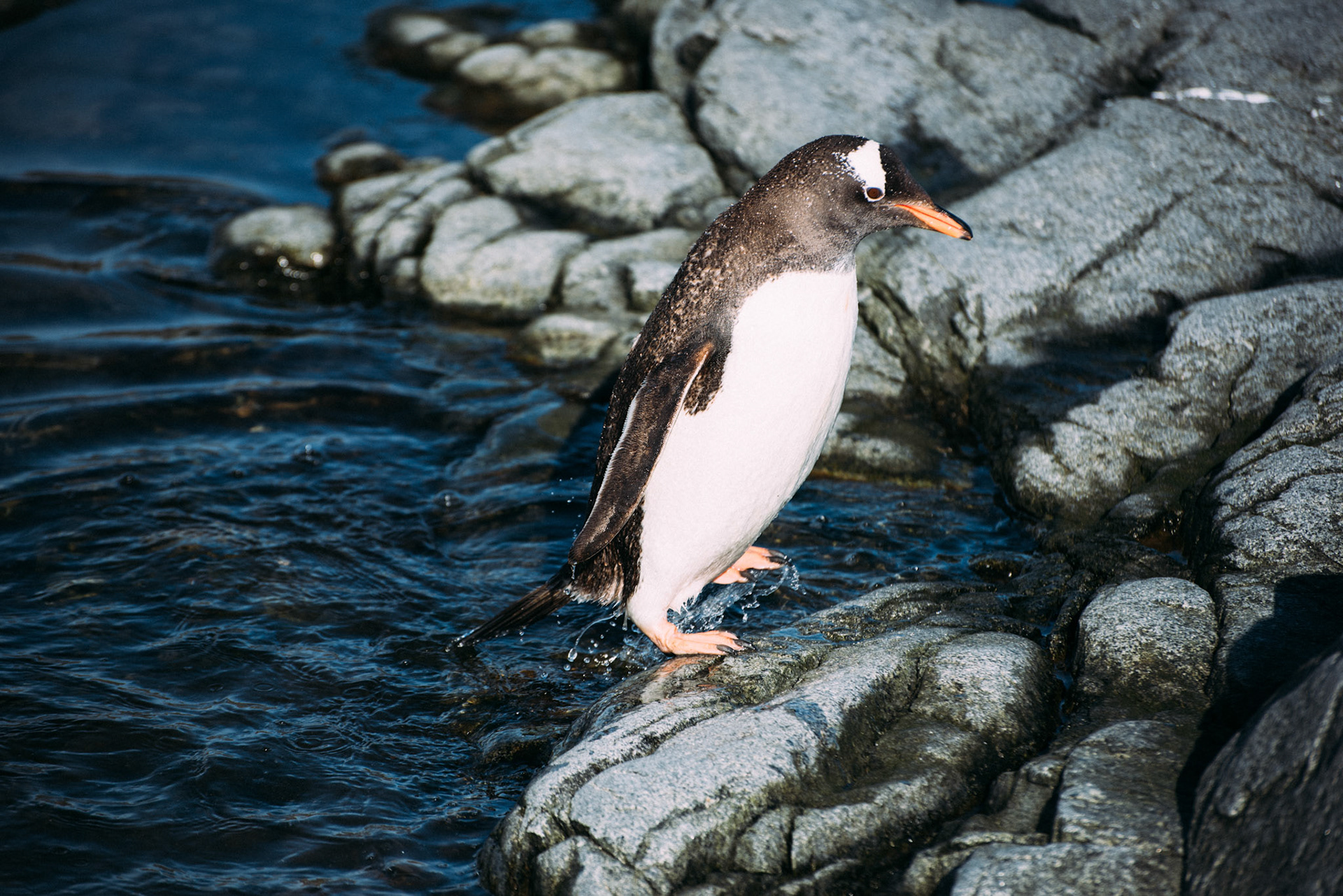 500px Photo ID: 201617325 -