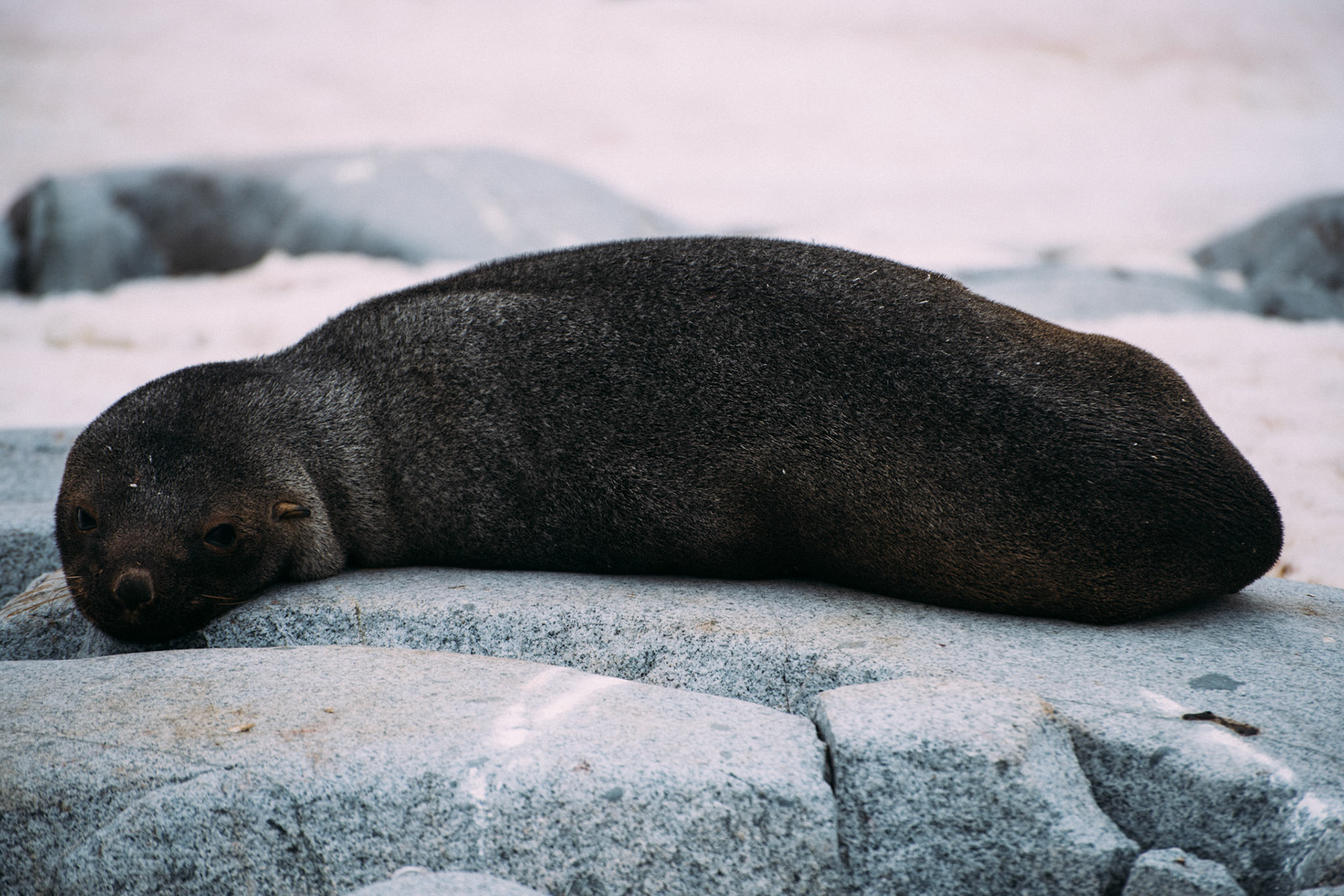 500px Photo ID: 201591855 -