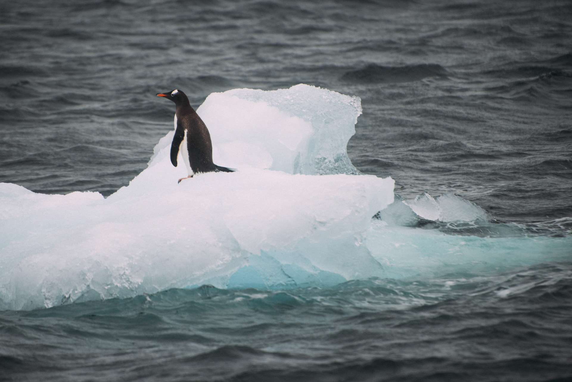 500px Photo ID: 201557265 -