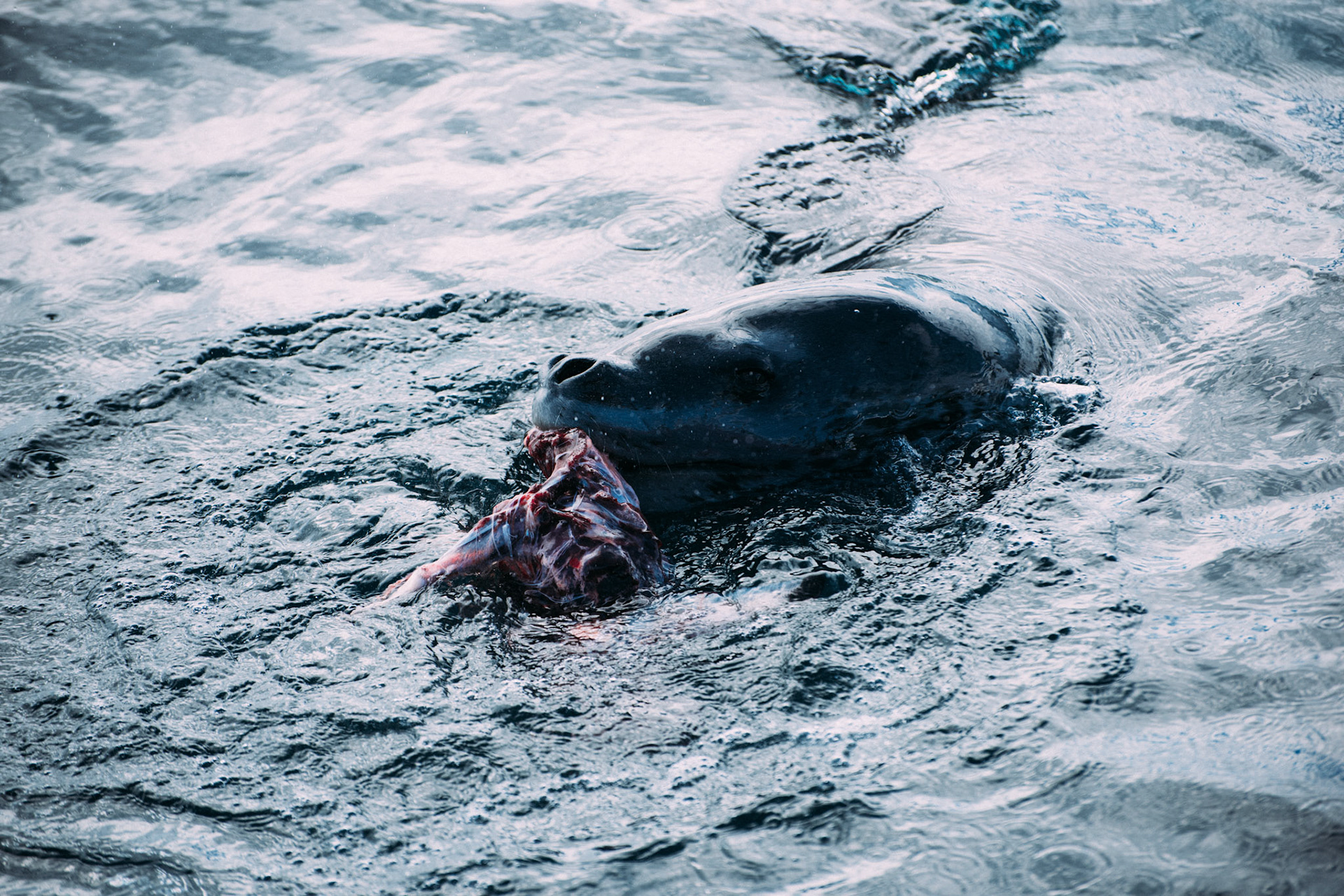 500px Photo ID: 201634785 -