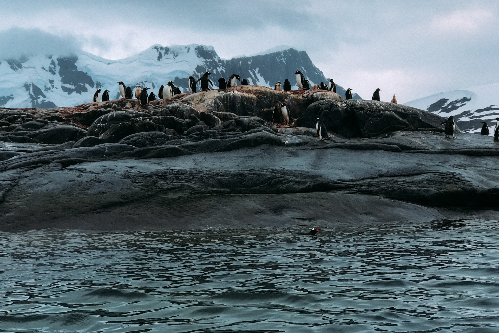 500px Photo ID: 201549689 -