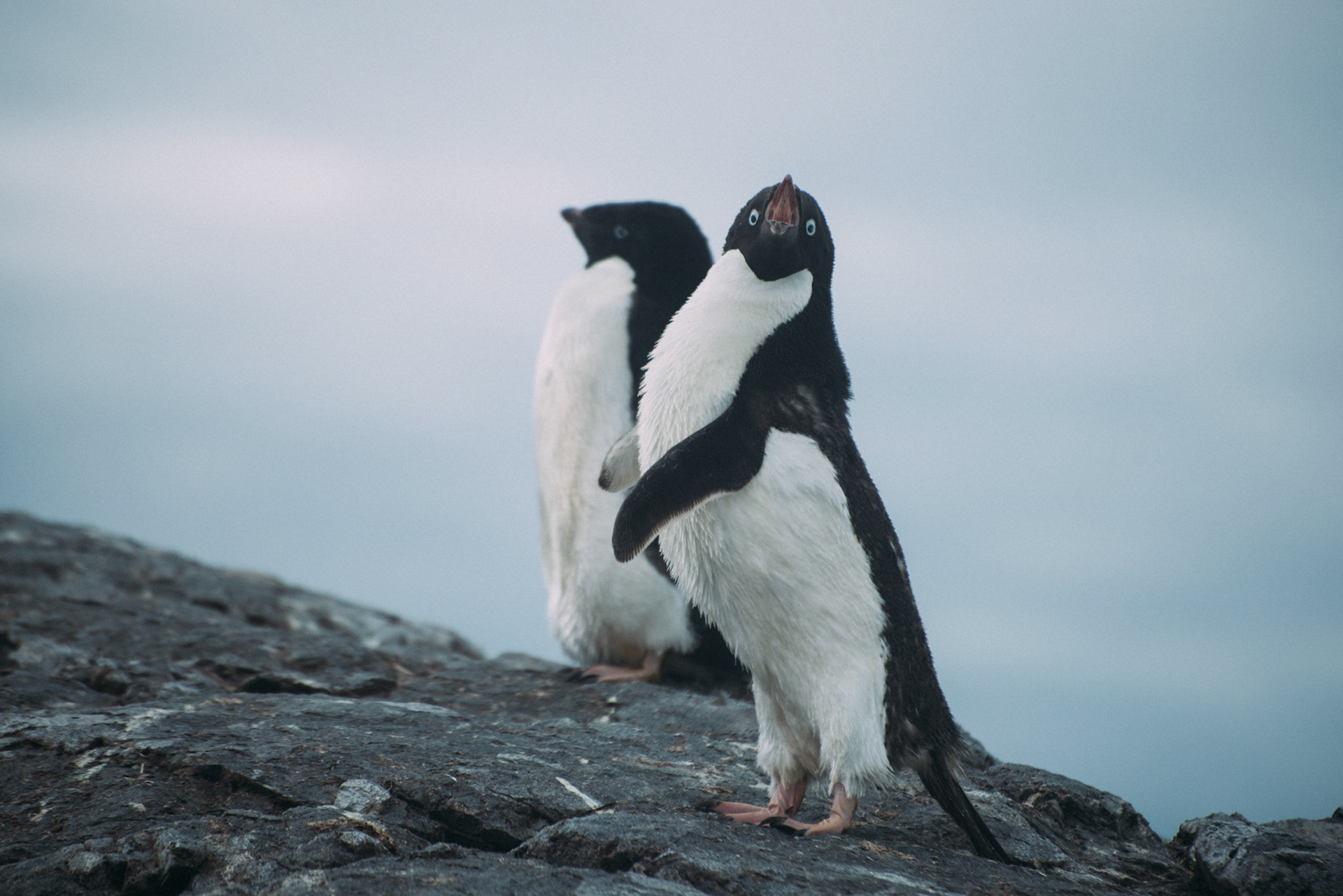 500px Photo ID: 201582155 -