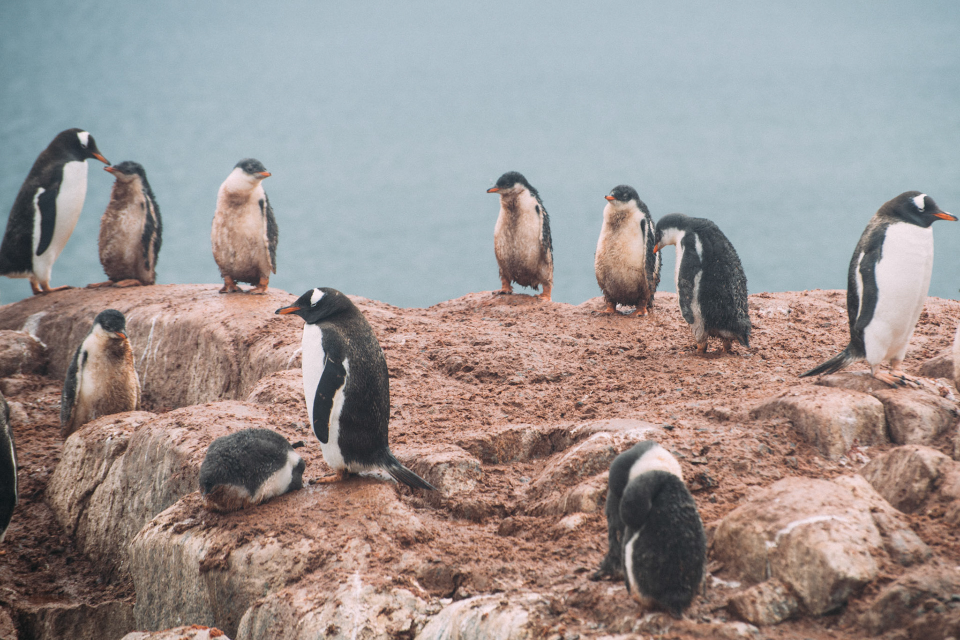 500px Photo ID: 201543863 -