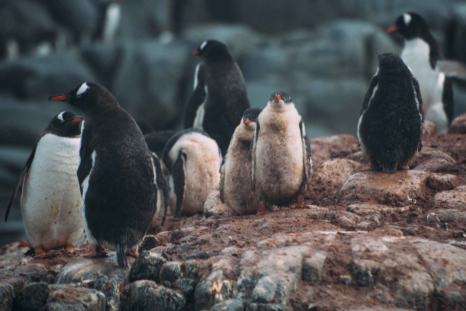 500px Photo ID: 201540415 -