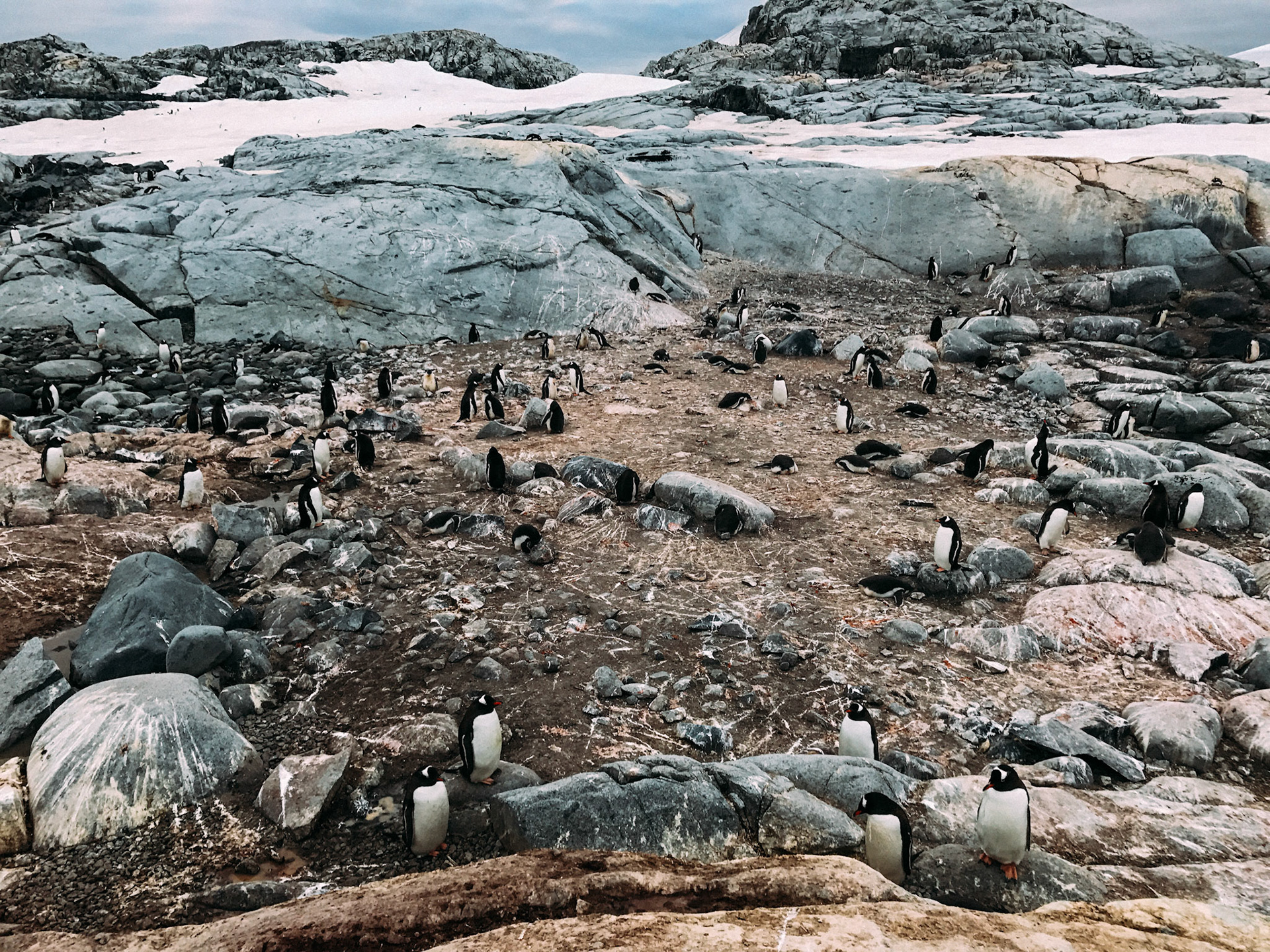 500px Photo ID: 201604811 -