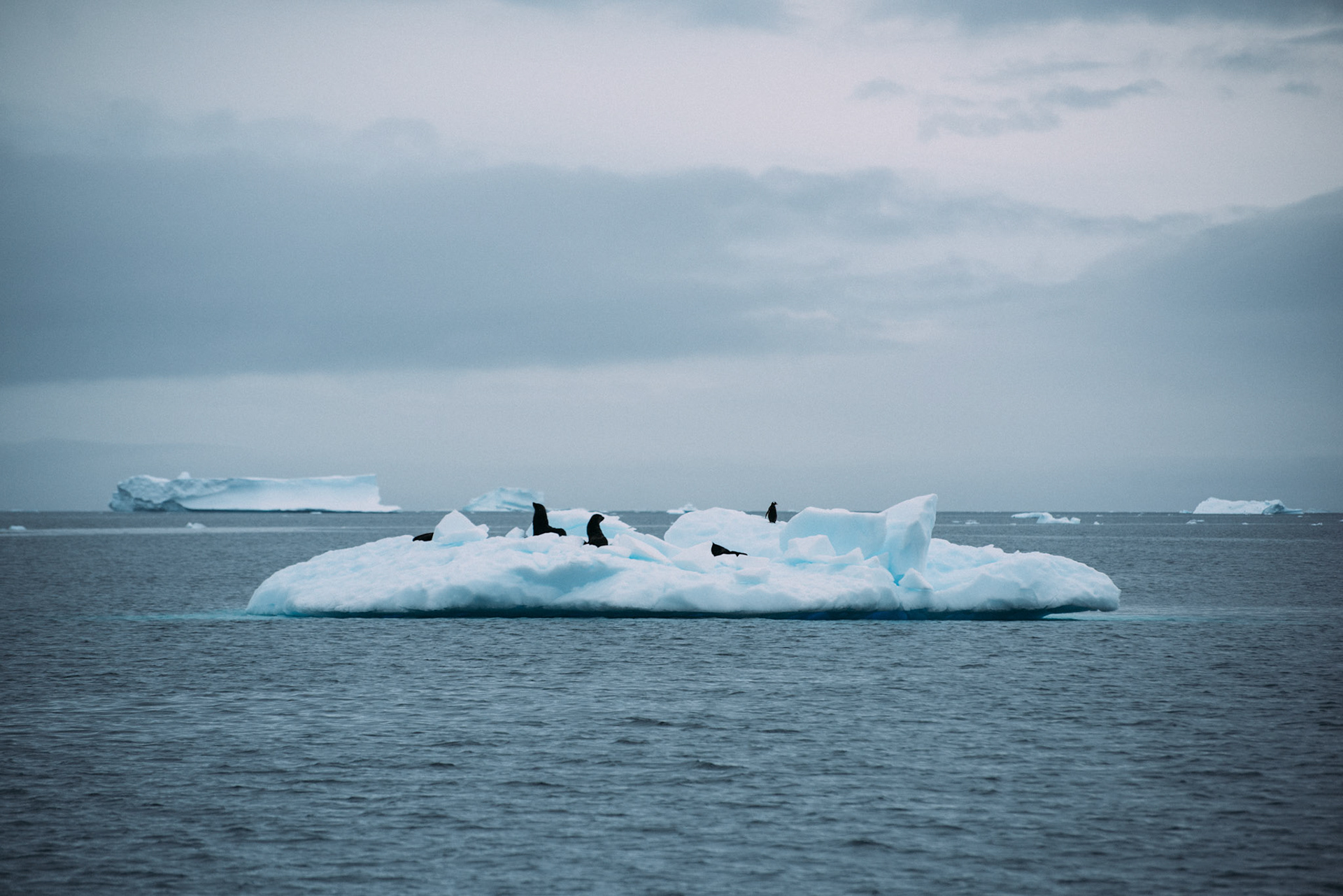 500px Photo ID: 201690497 -