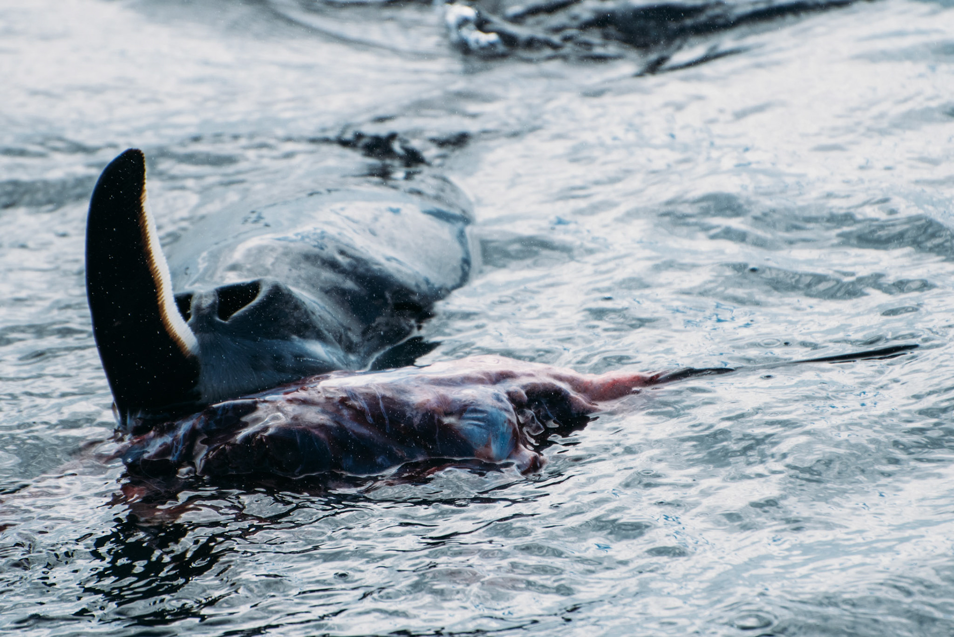 500px Photo ID: 201633255 -