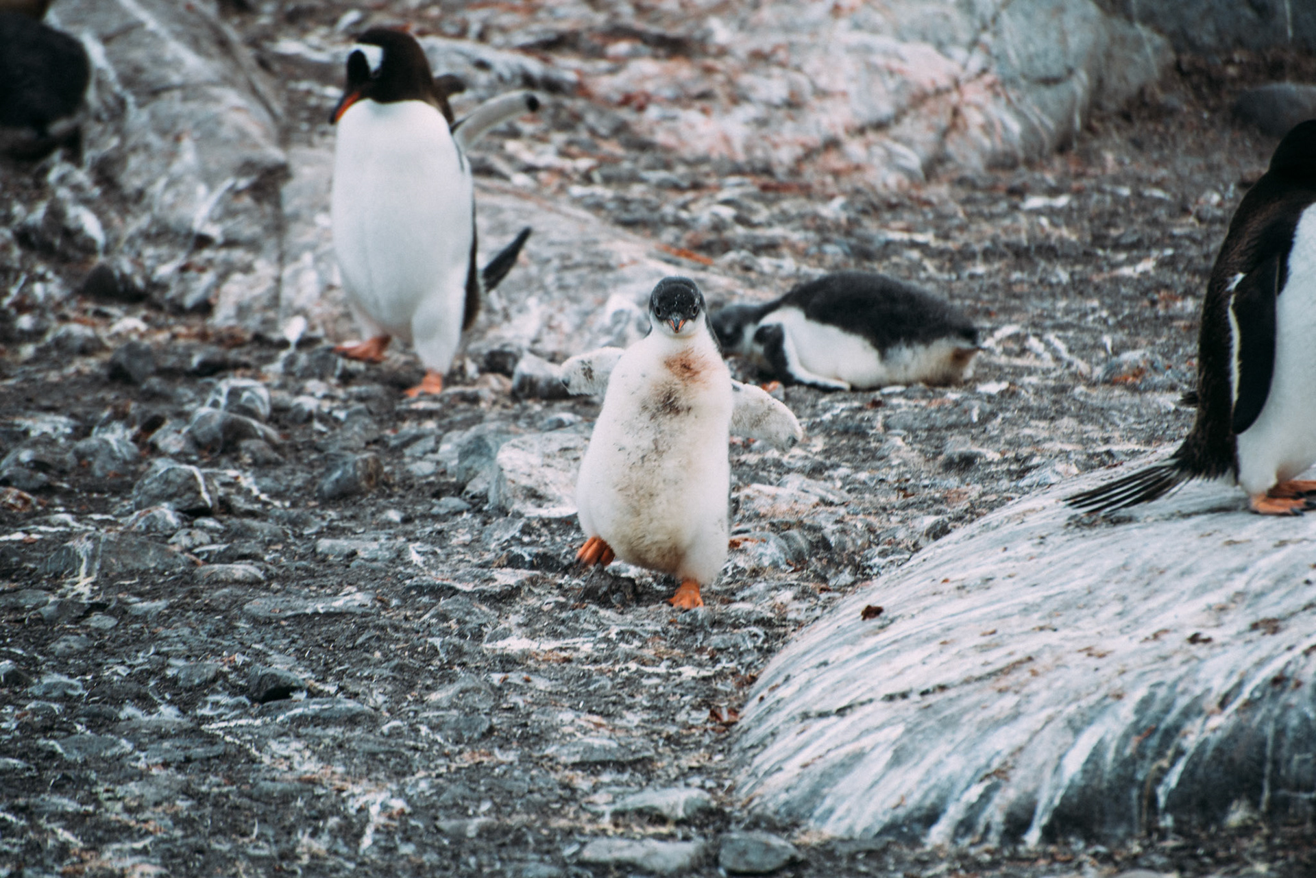 500px Photo ID: 201598877 -