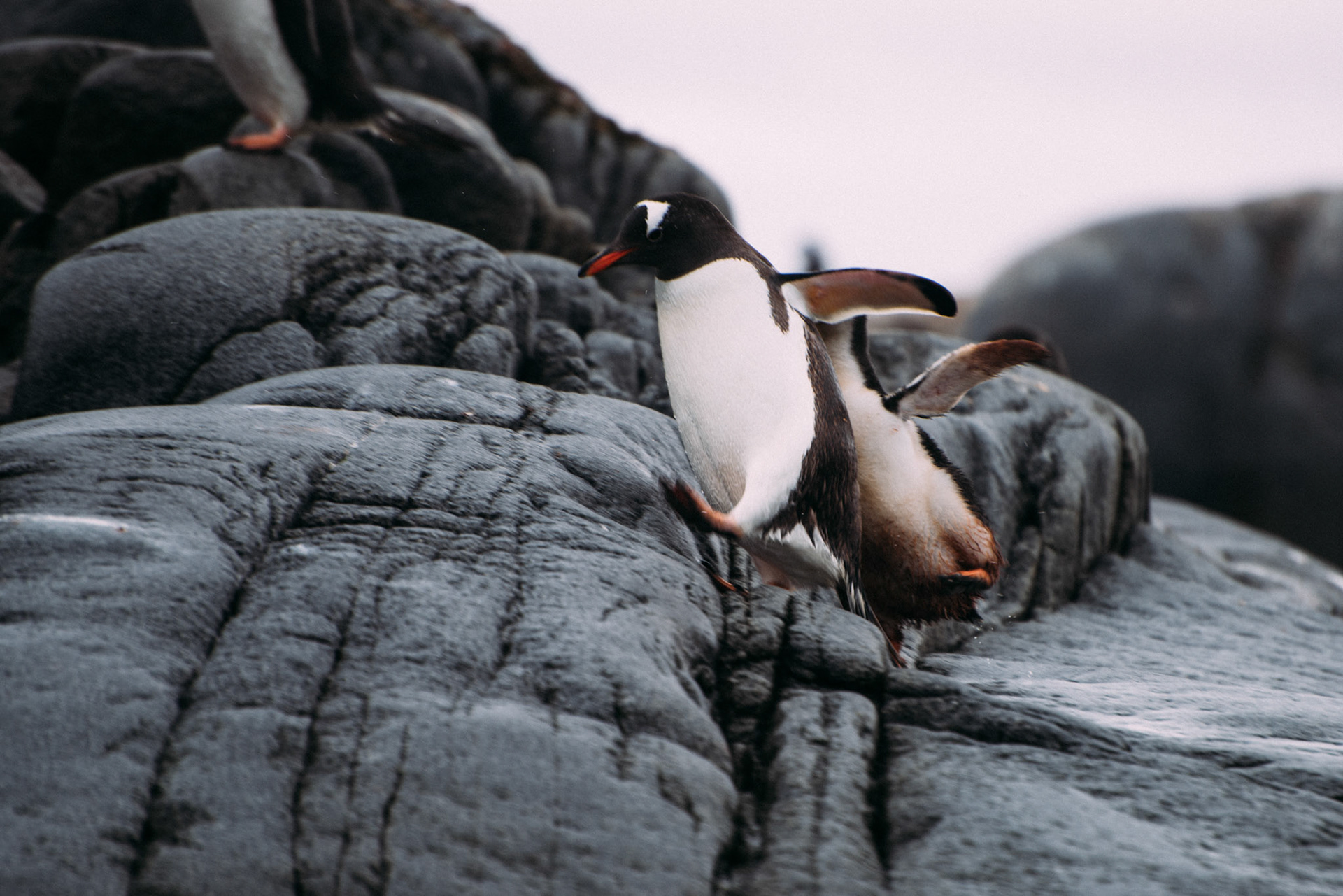 500px Photo ID: 201536599 -