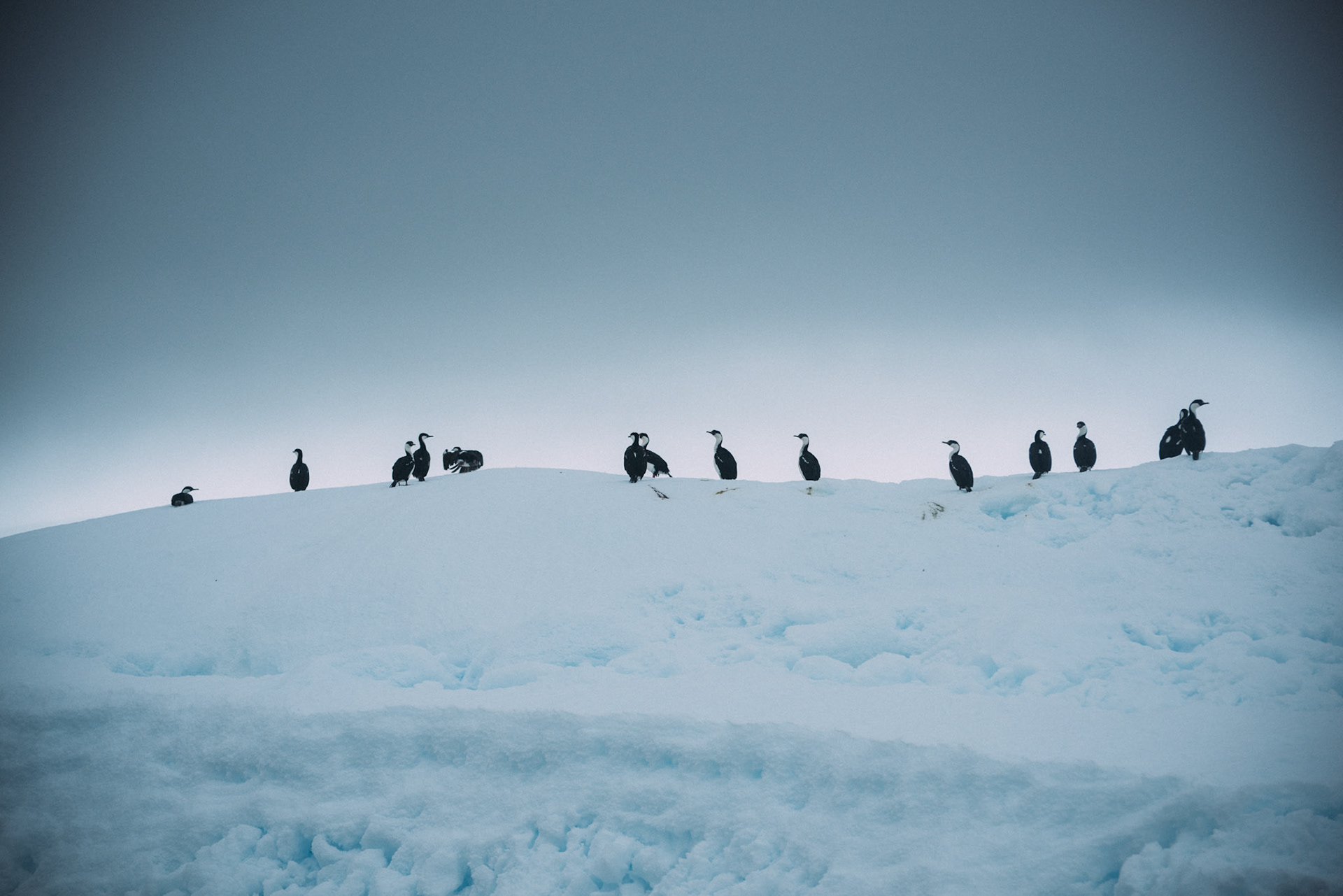 500px Photo ID: 201579037 -