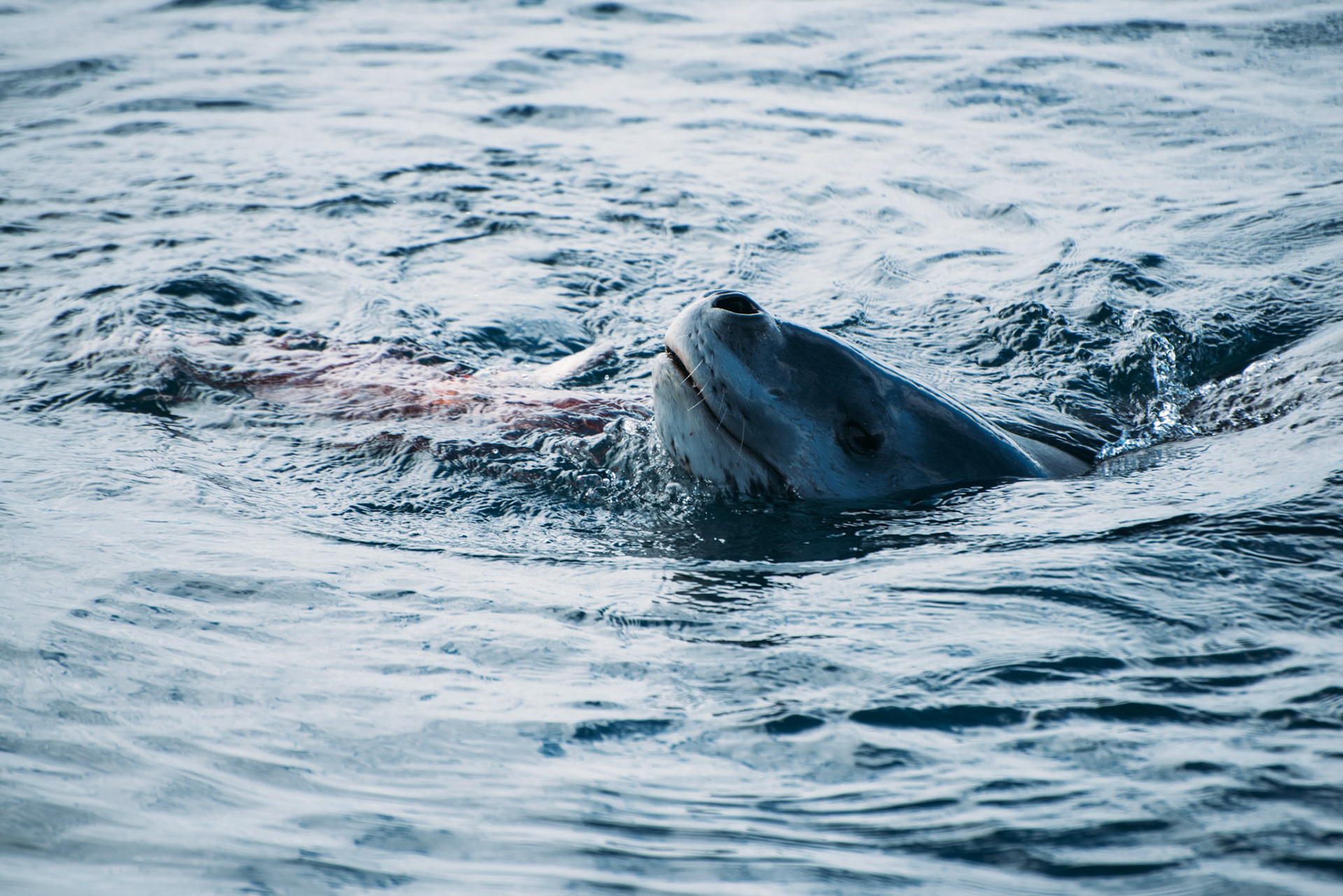 500px Photo ID: 201679211 -