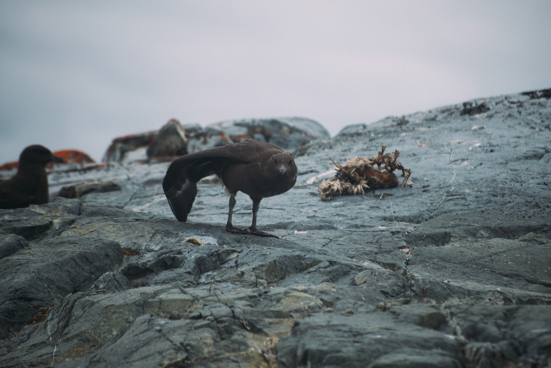 500px Photo ID: 201585339 -