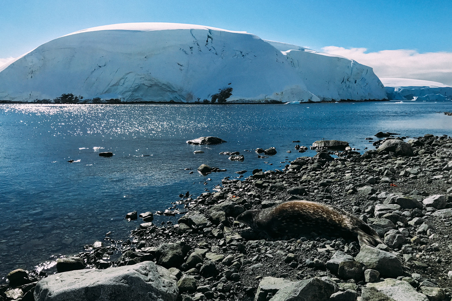 500px Photo ID: 201708865 -