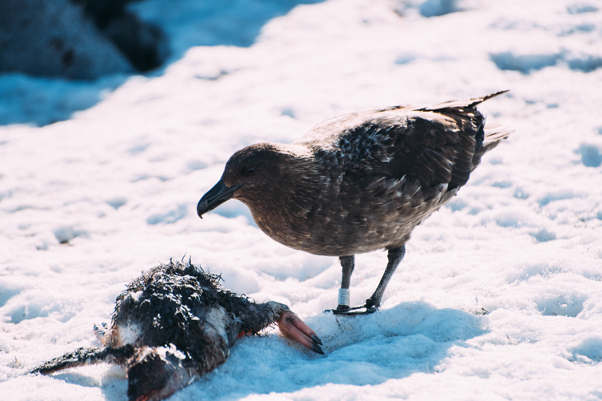 500px Photo ID: 201625241 -