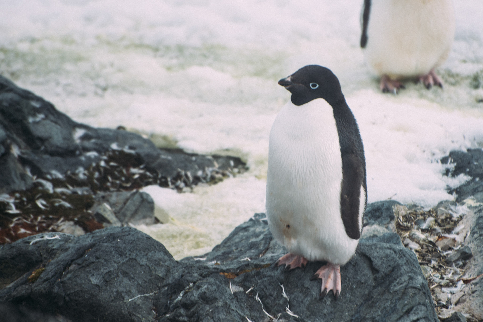 500px Photo ID: 201581429 -