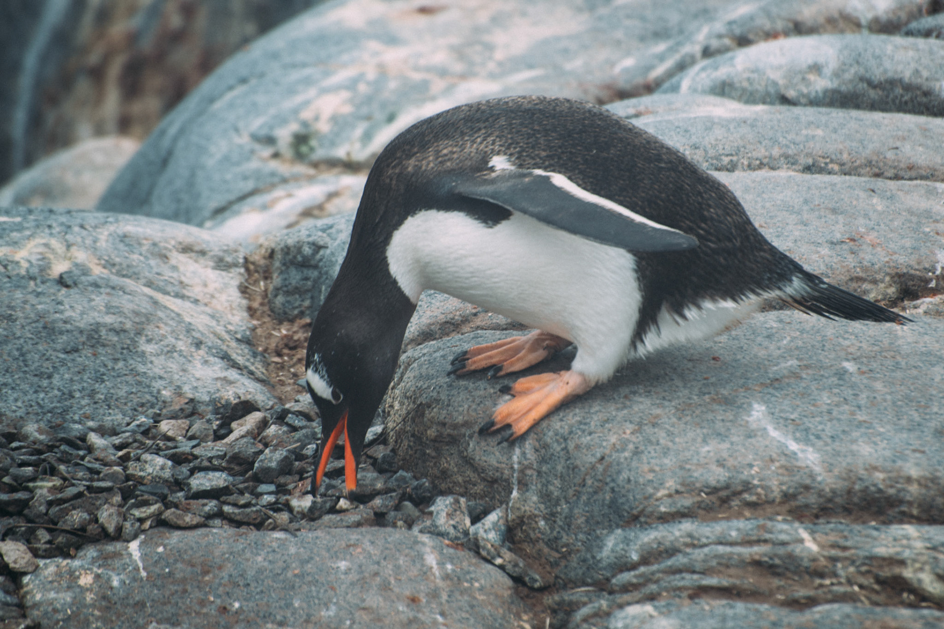 500px Photo ID: 201545555 -