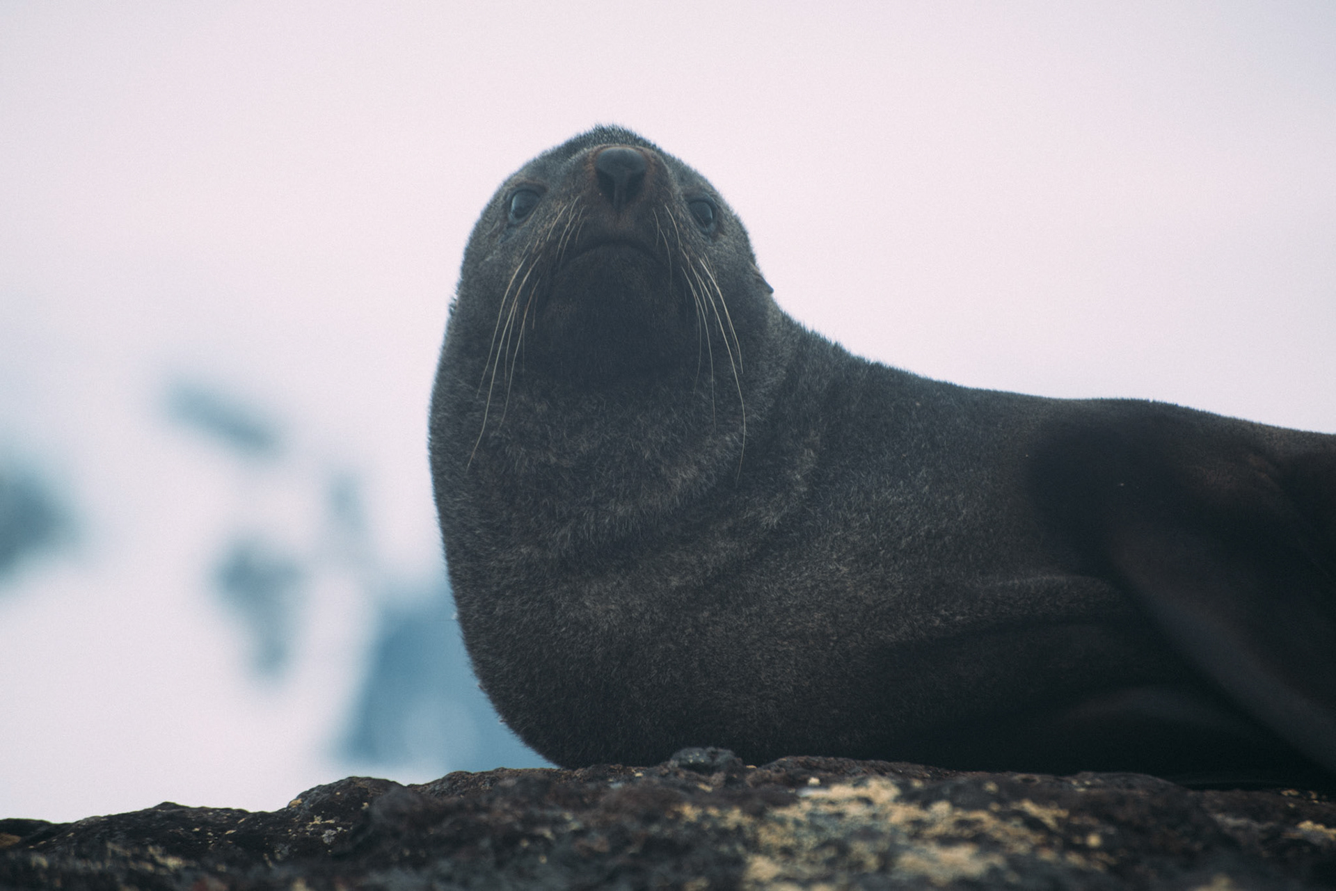 500px Photo ID: 201579535 -