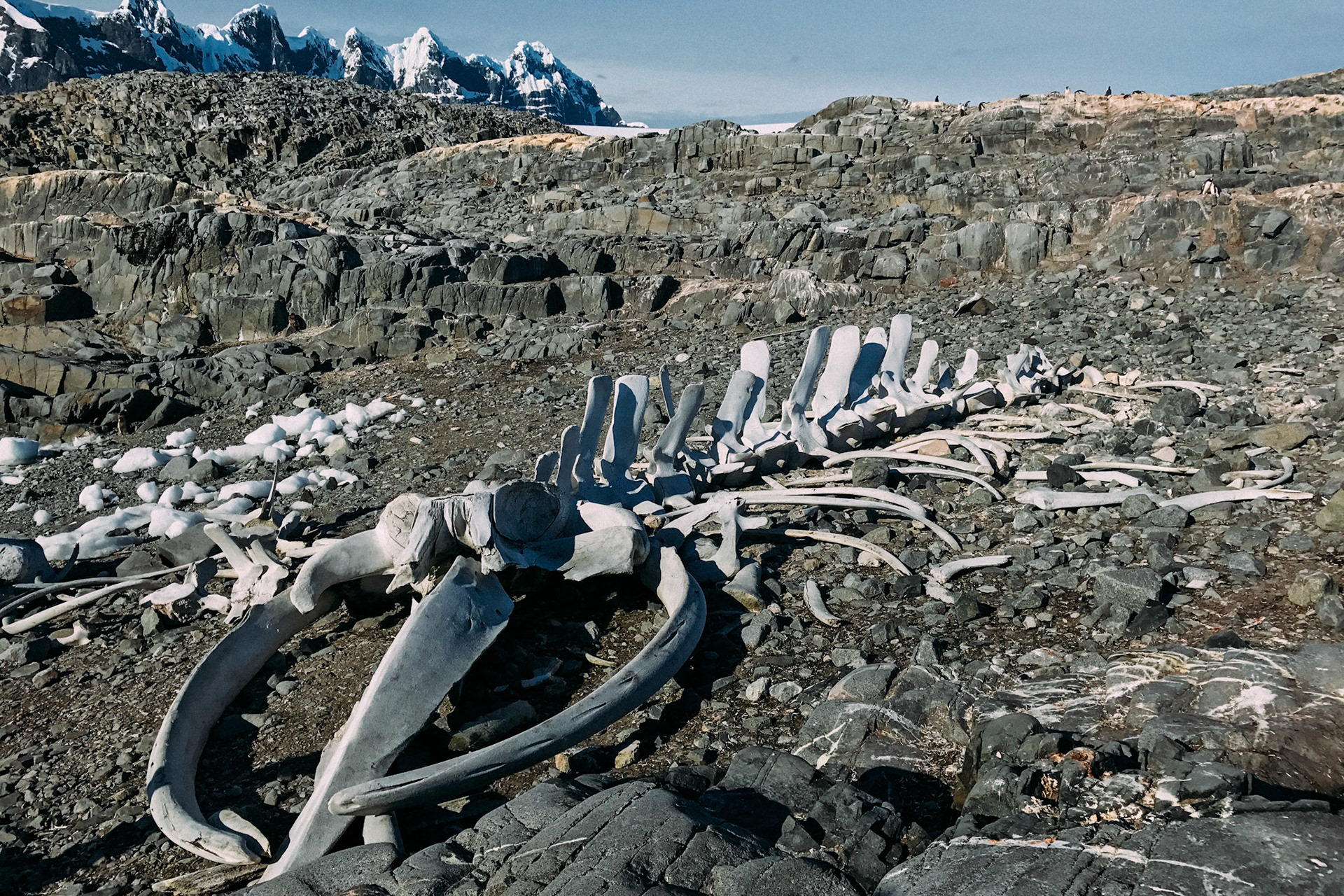 500px Photo ID: 201643019 -