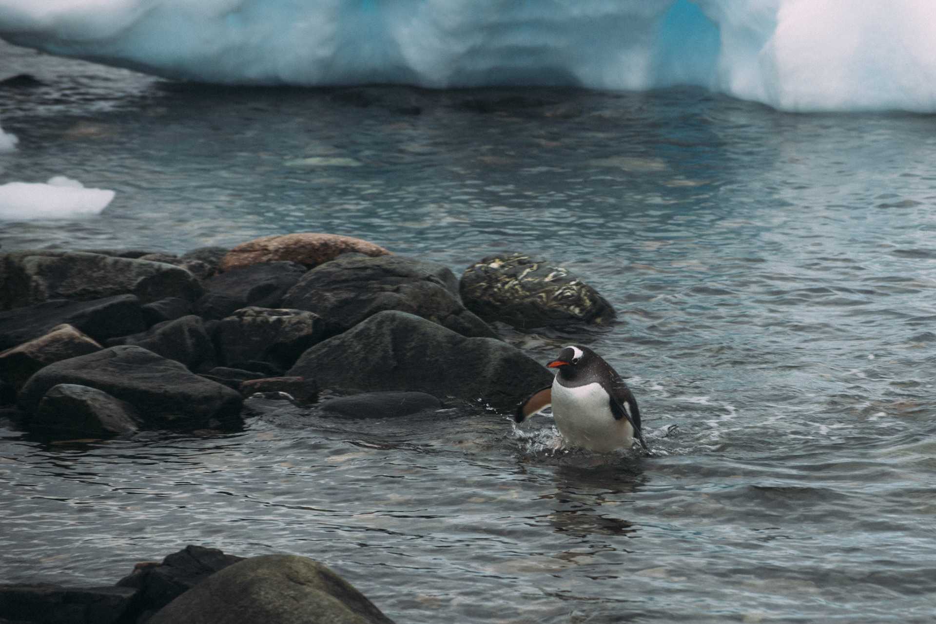 500px Photo ID: 201547611 -