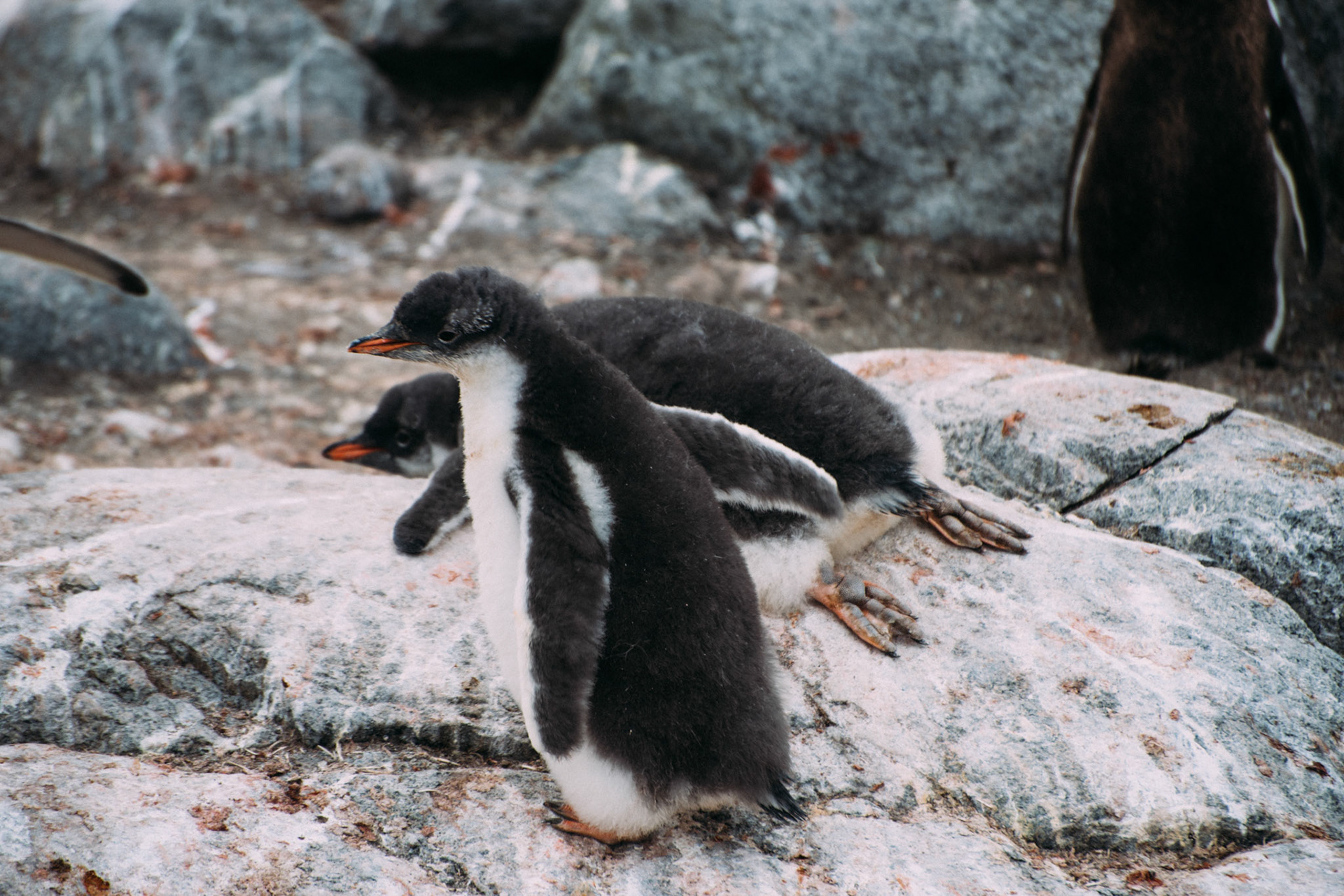 500px Photo ID: 201588471 -