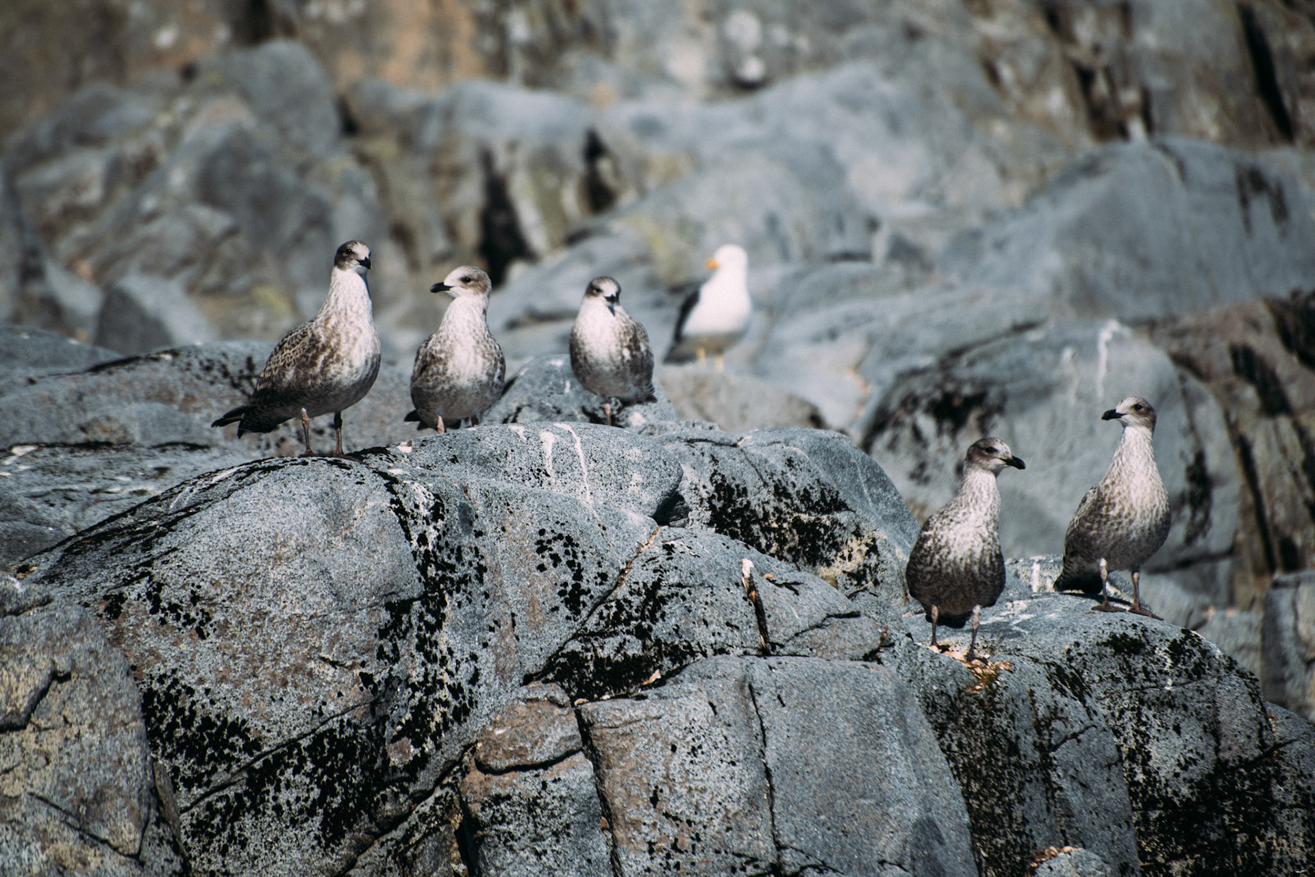 500px Photo ID: 201629317 -