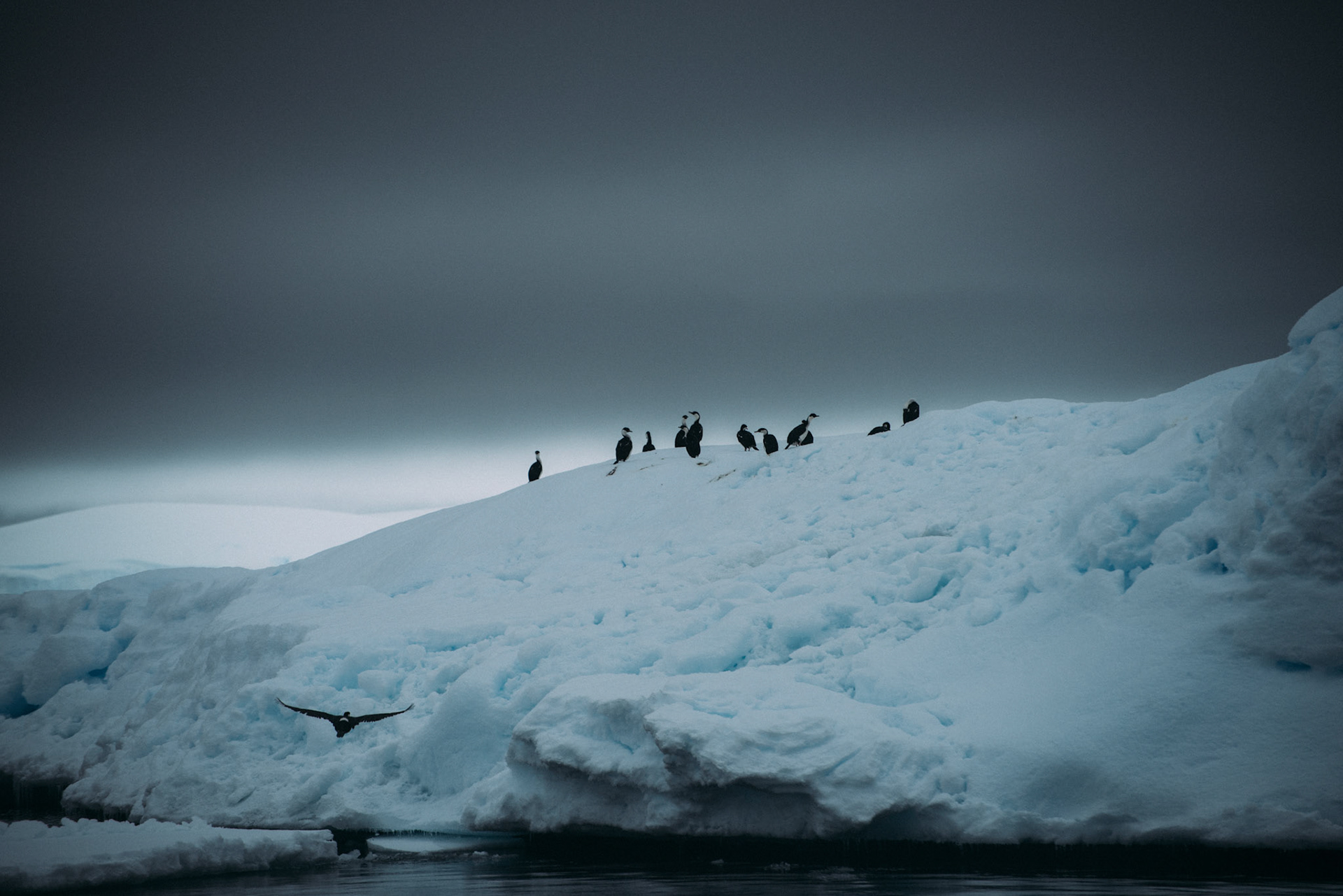 500px Photo ID: 201578415 -