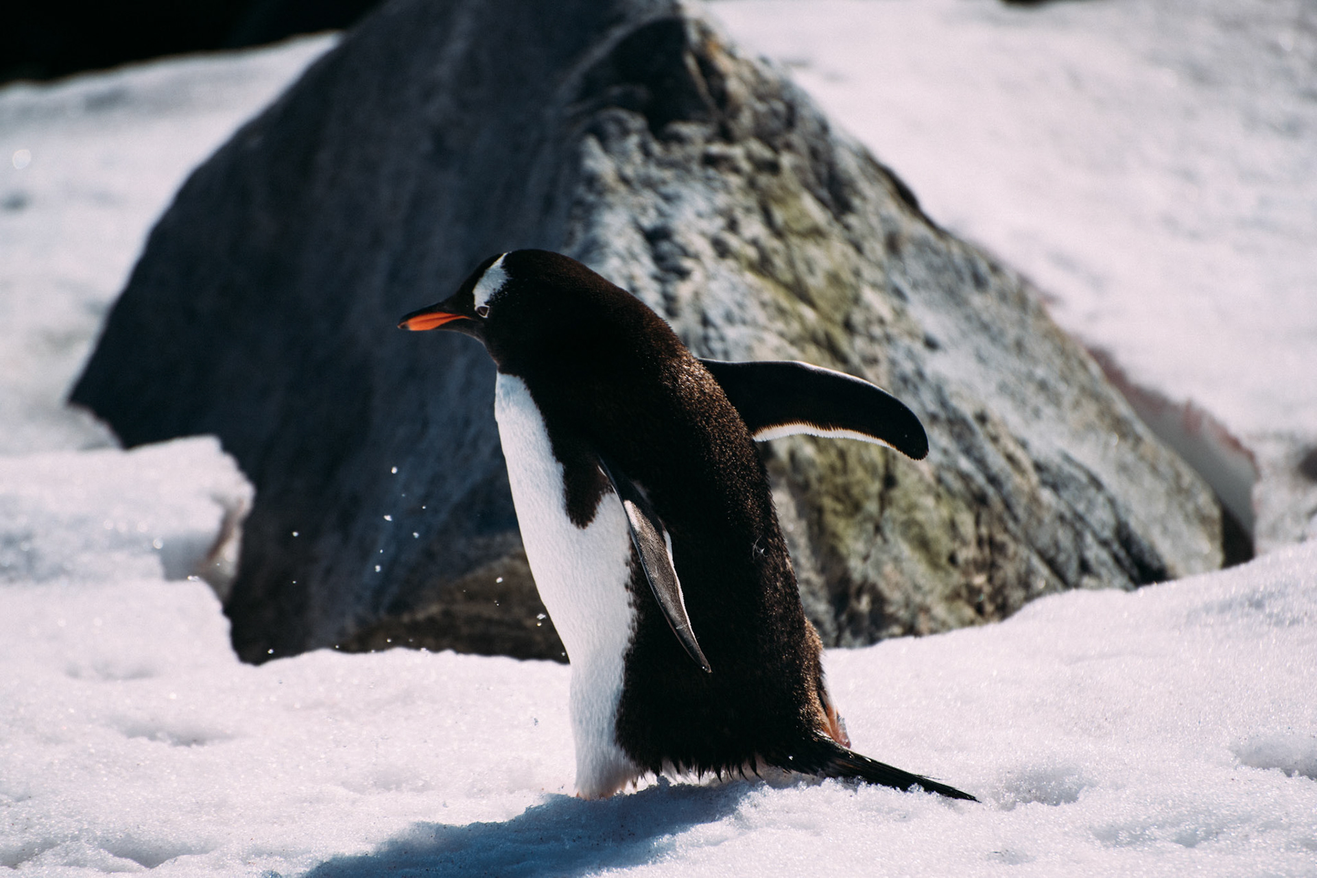 500px Photo ID: 201628153 -