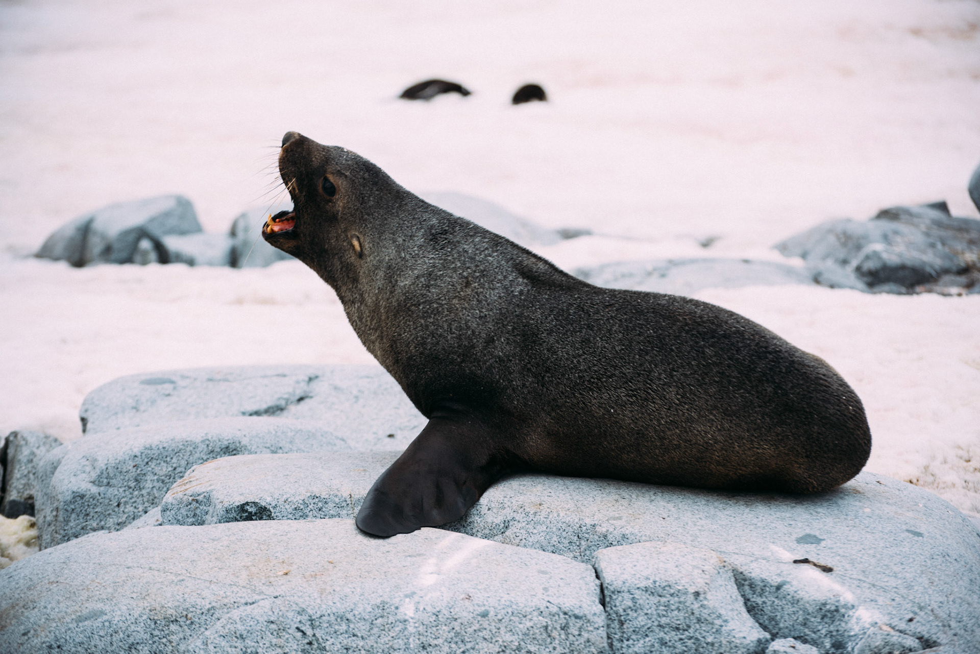 500px Photo ID: 201592719 -