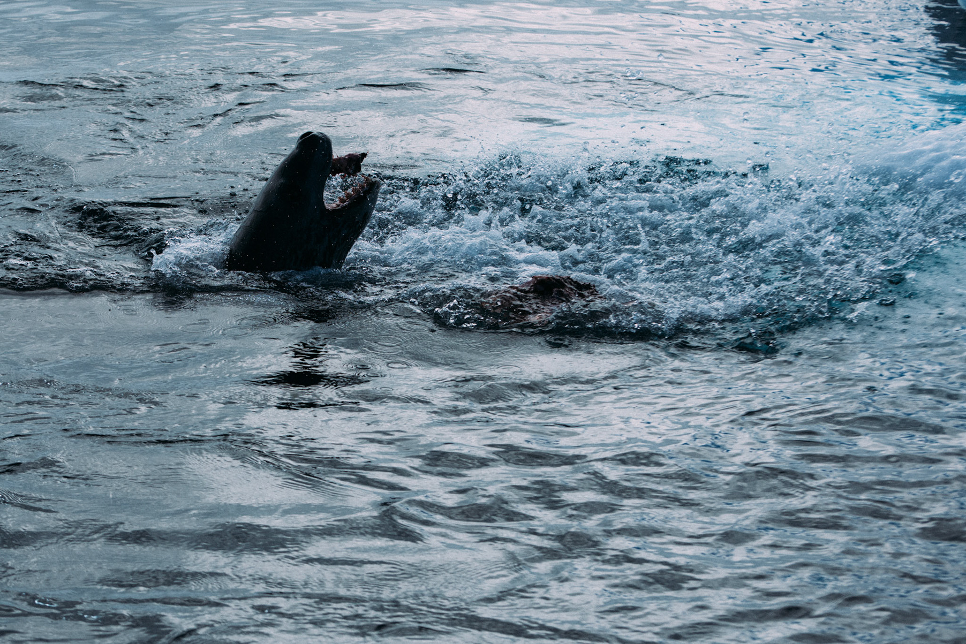 500px Photo ID: 201632917 -