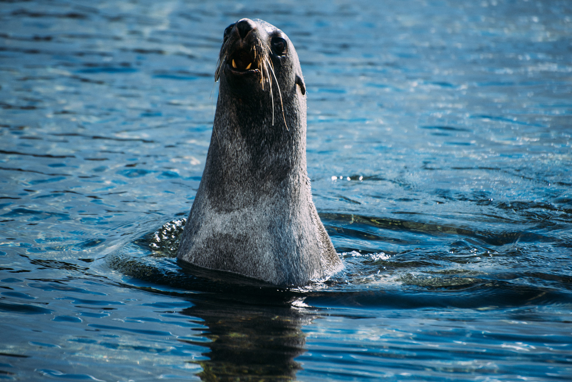 500px Photo ID: 201705319 -