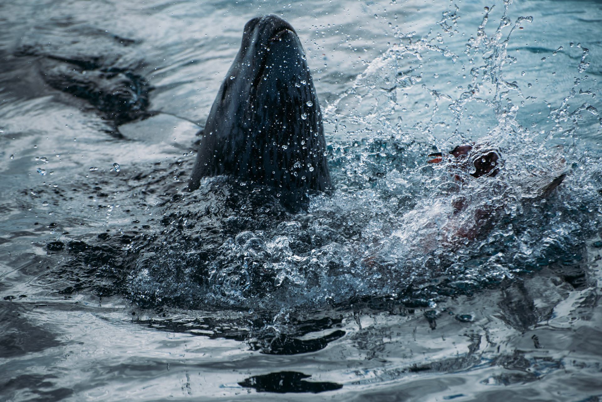 500px Photo ID: 201633391 -