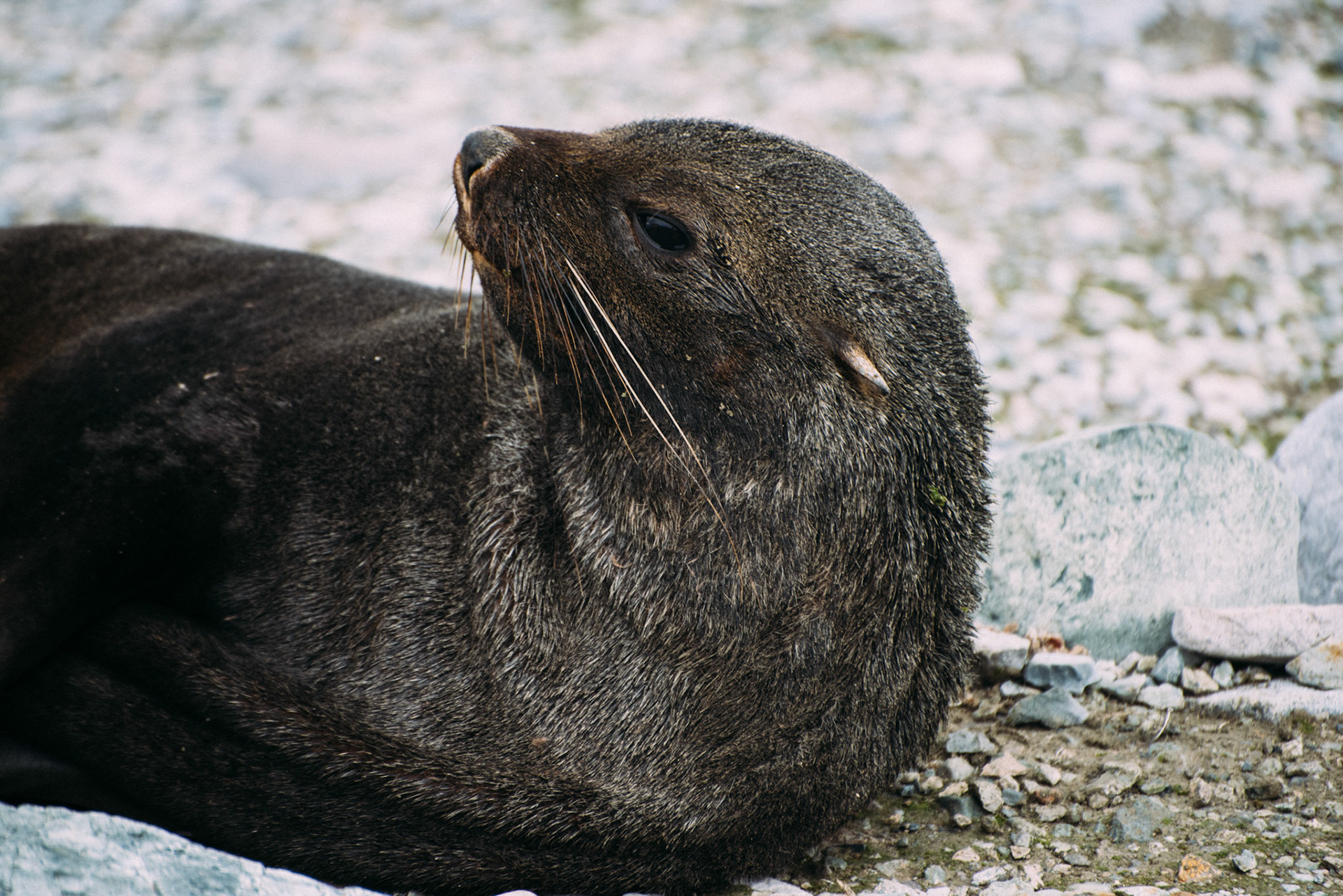 500px Photo ID: 201669805 -