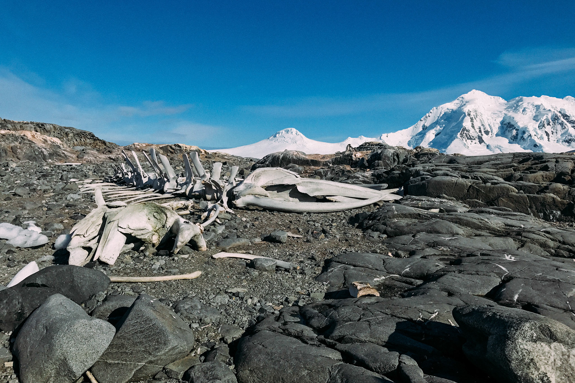 500px Photo ID: 201680227 -