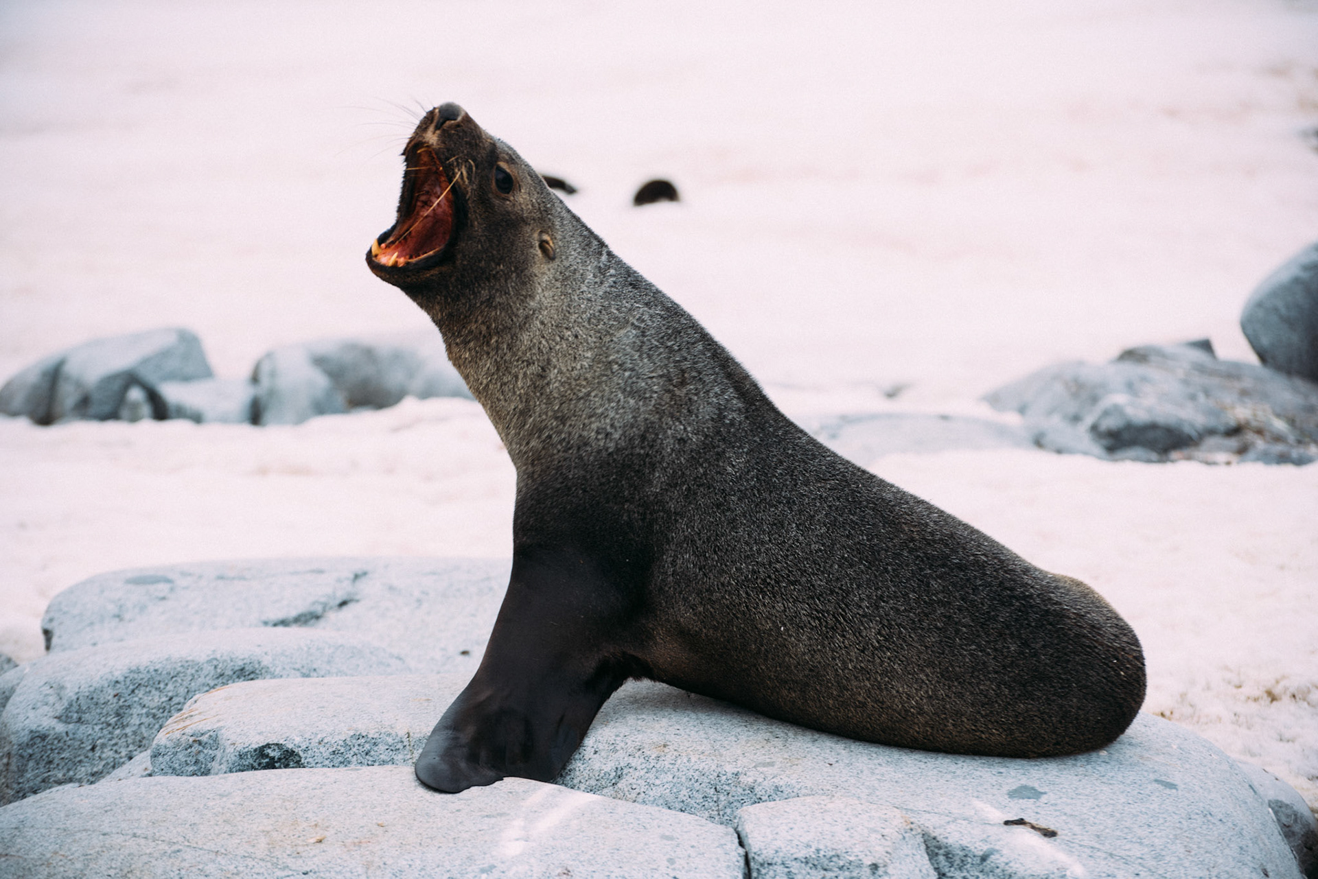 500px Photo ID: 201593147 -