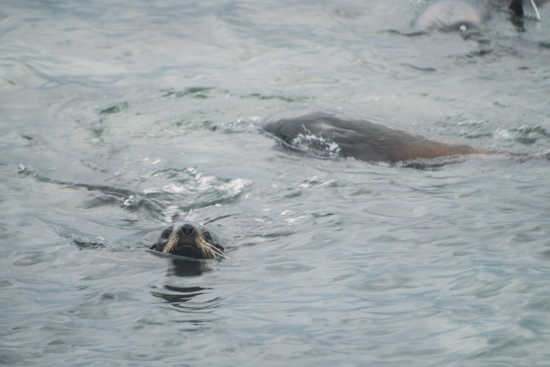 500px Photo ID: 201587459 -