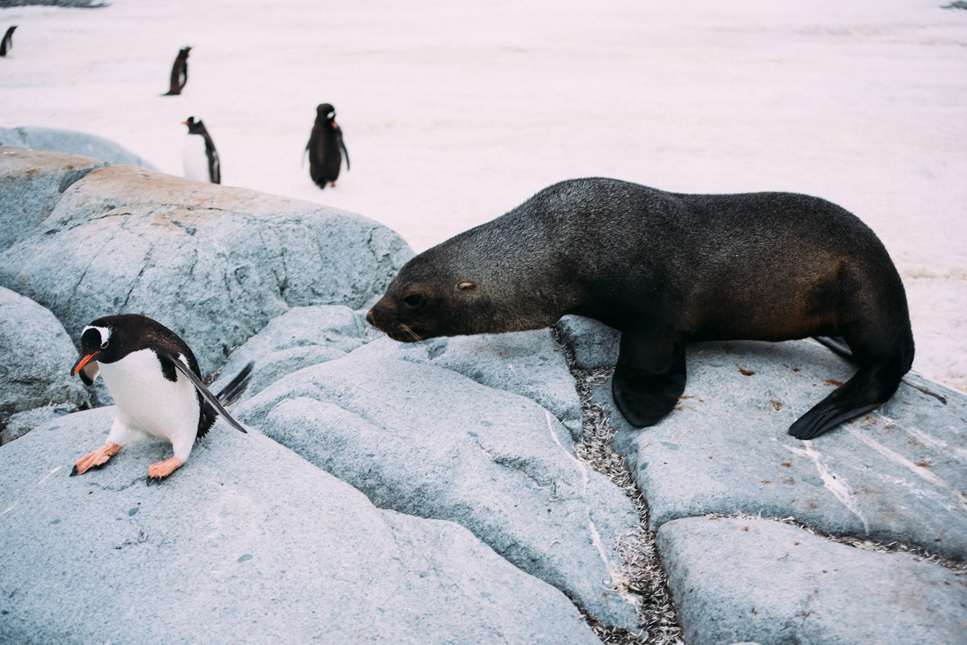 500px Photo ID: 201594551 -