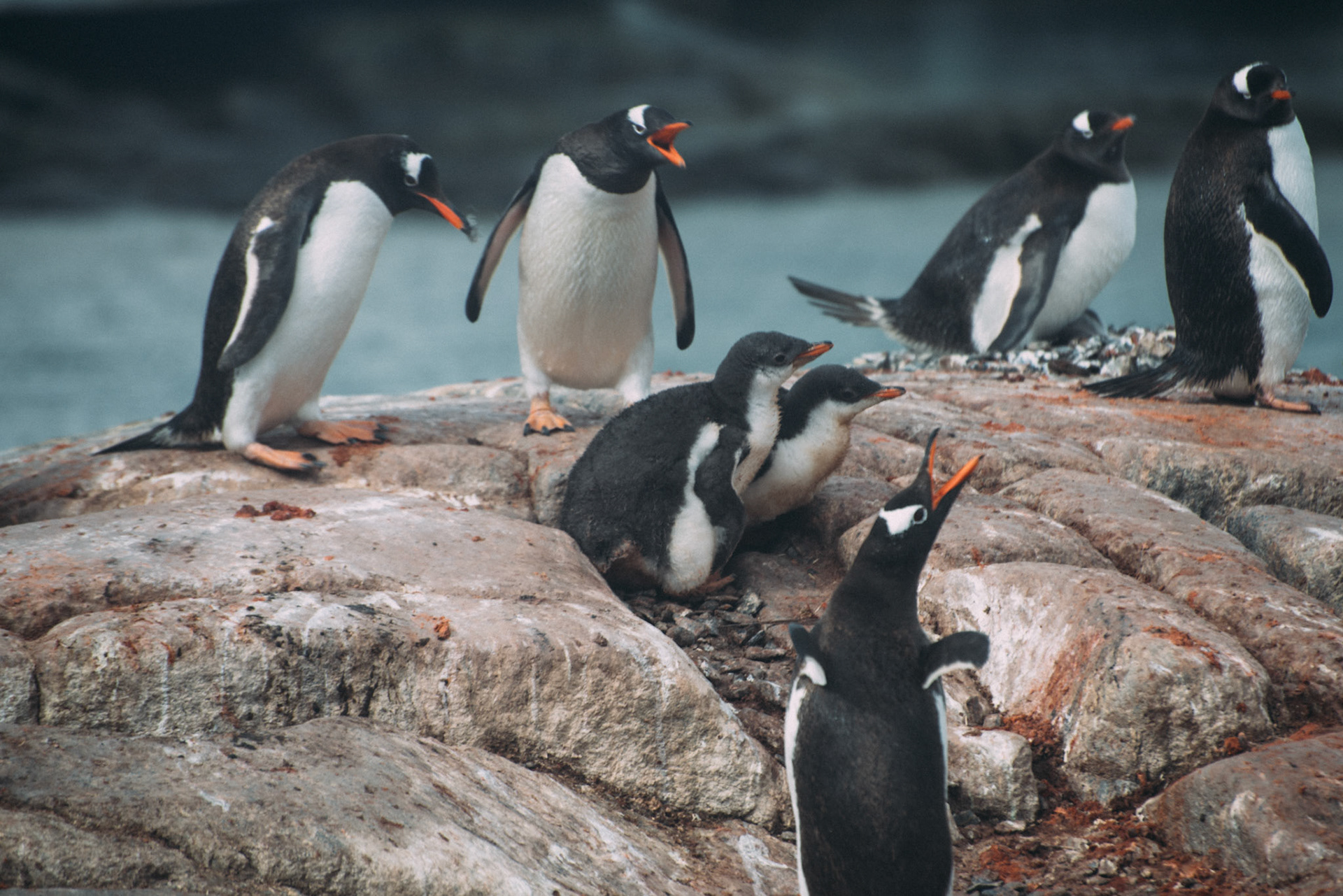 500px Photo ID: 201542925 -