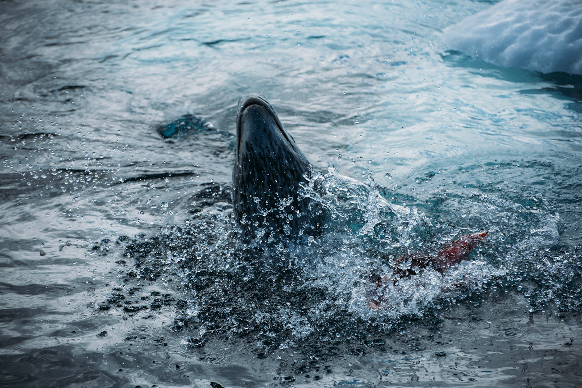 500px Photo ID: 201634075 -