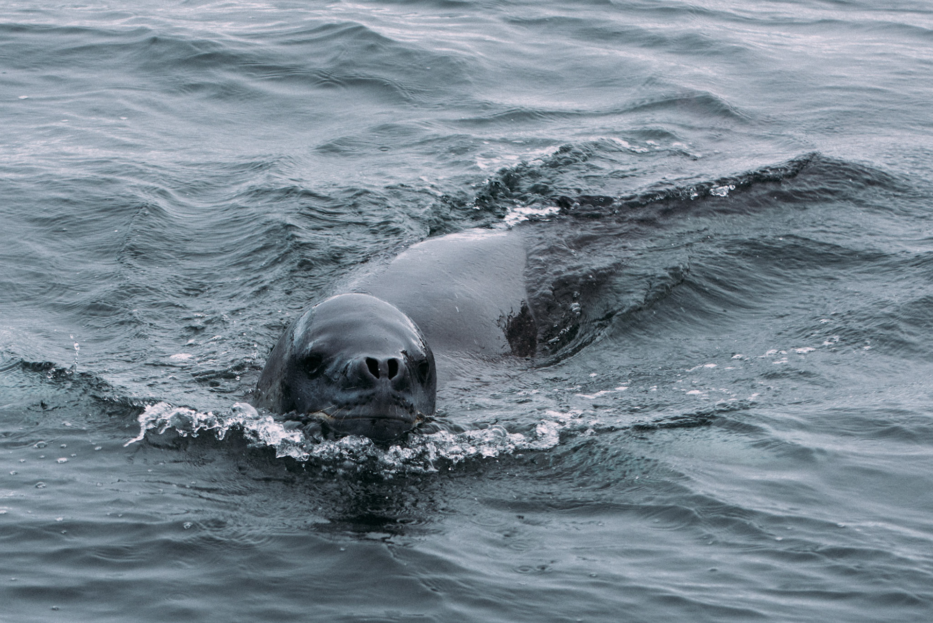 500px Photo ID: 201695045 -