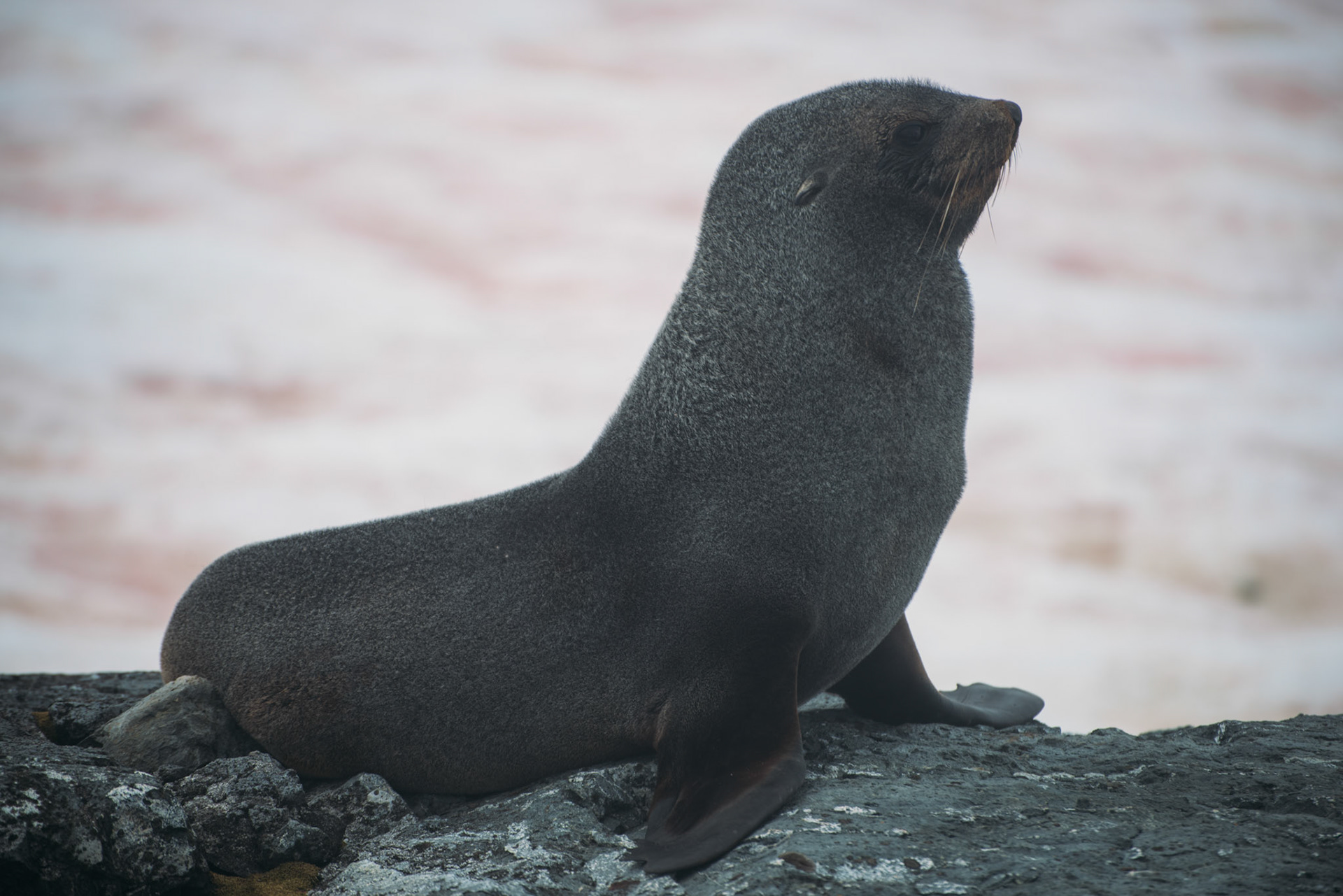 500px Photo ID: 201581977 -